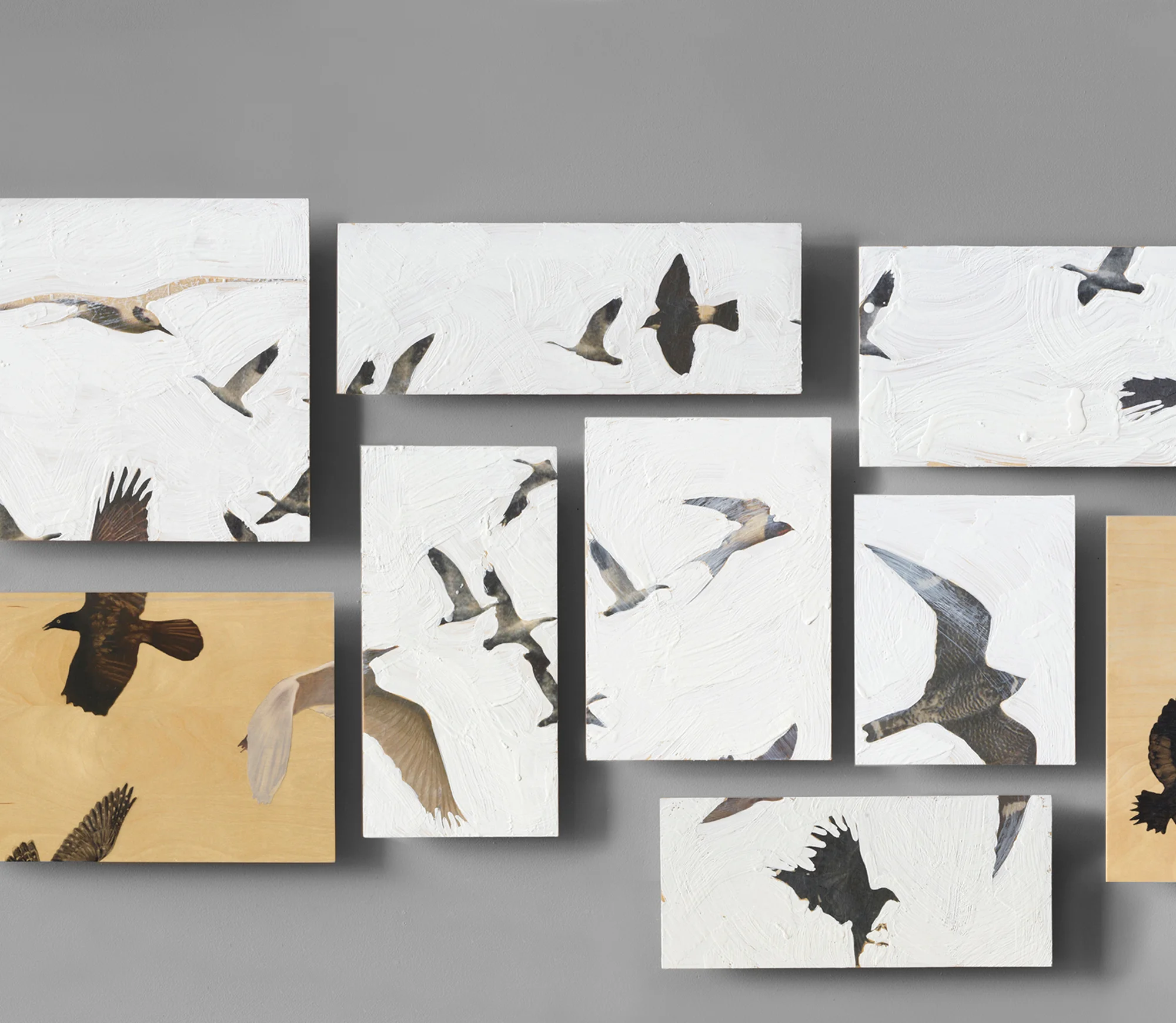 My Aviary, panels #6-13 , mixed media, variable, 2011