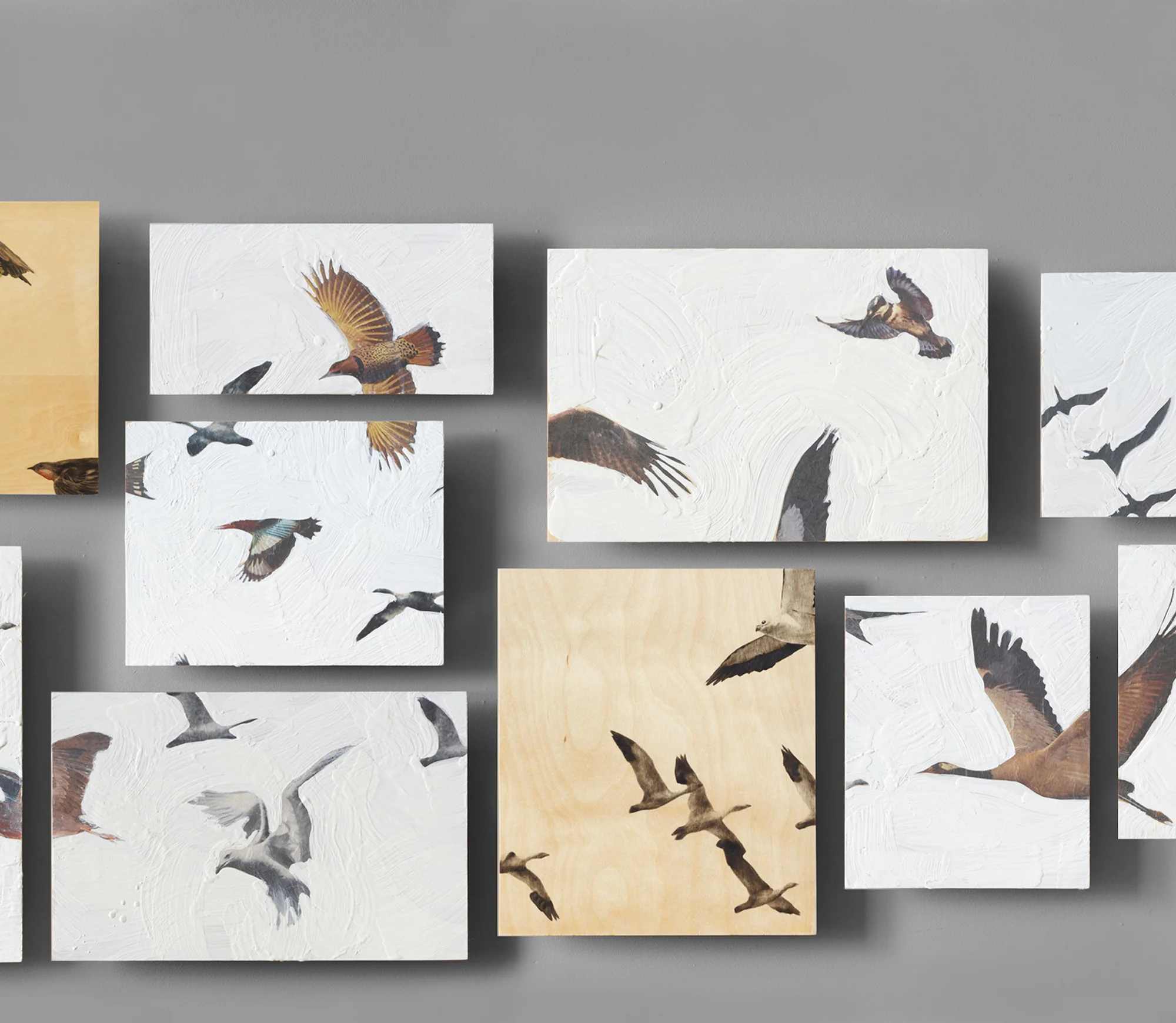 My Aviary, panels #40-45 , mixed media, variable, 2011