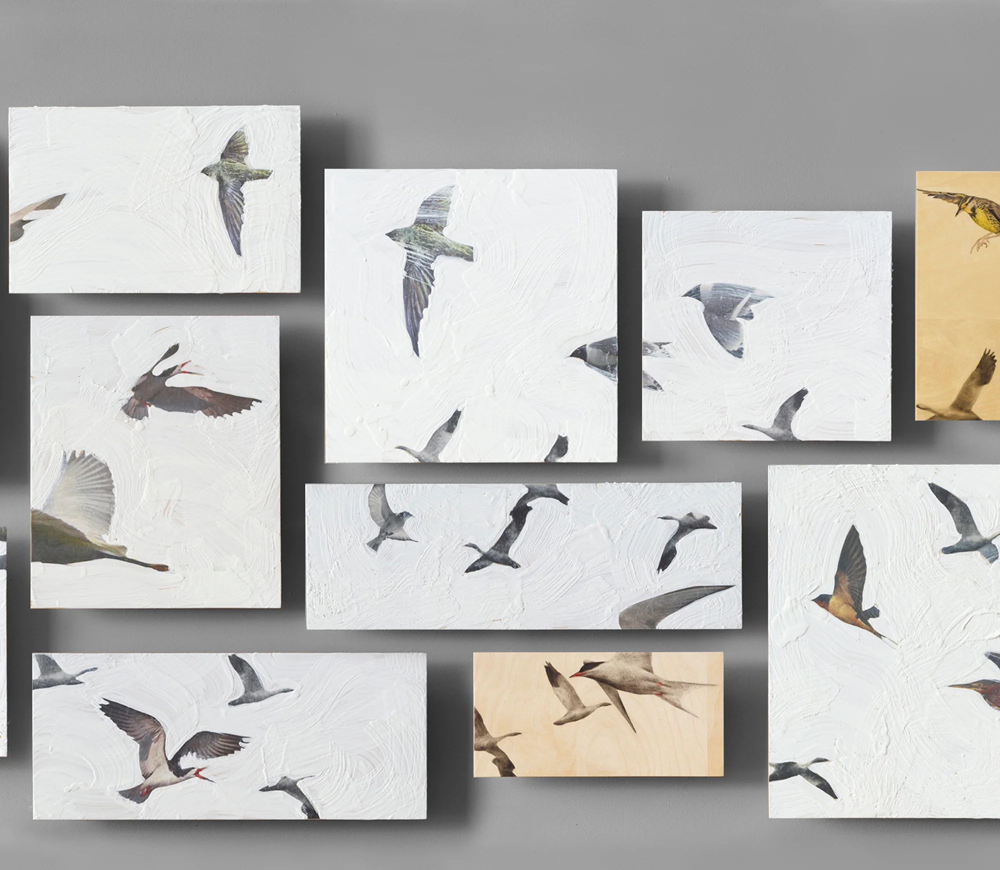 My Aviary, panels #31-38 , mixed media, variable, 2011