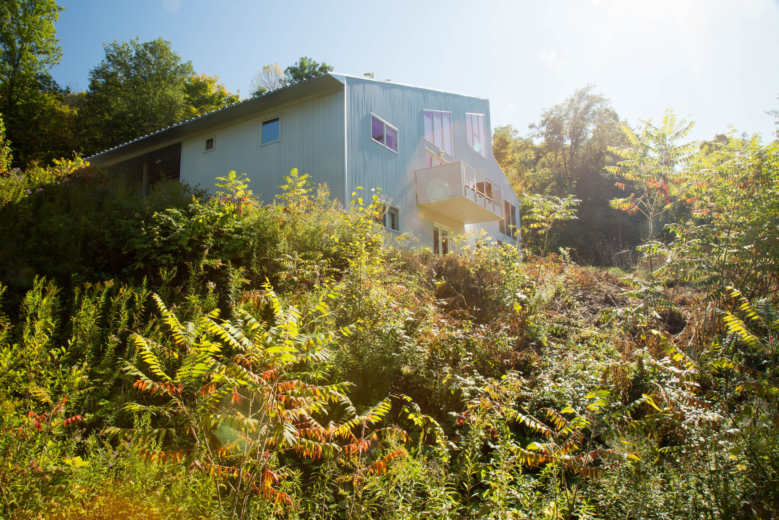 Billings 2019_10_6-6.jpg