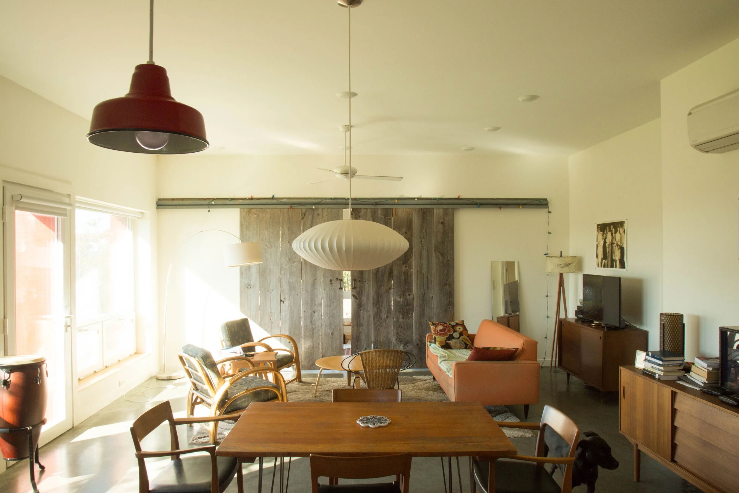 TIGER 2019_10_6-2.jpg