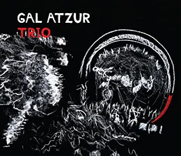 Gal Atuzr ws.jpg