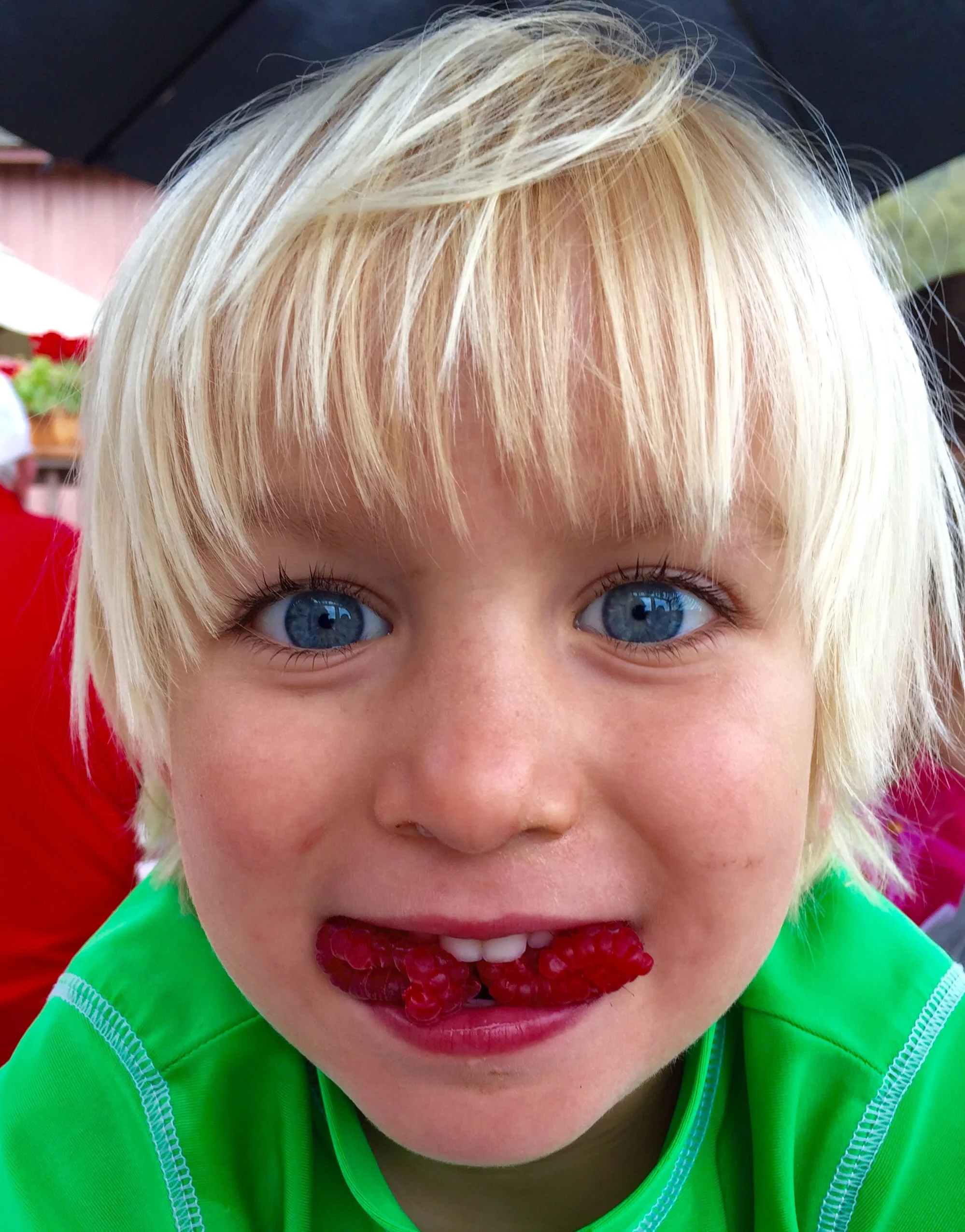 Once we arrived in San Luis Obispo with my crazy cousins, we went to a little farm down the road. Cutest place ever! They had so much... I got an Oreo rice Krispy treat and sweet corn on the cob. (Weird combo, but it was good!) We also got some fresh berries and peaches, and above is Moses indulging in some juicy raspberries!