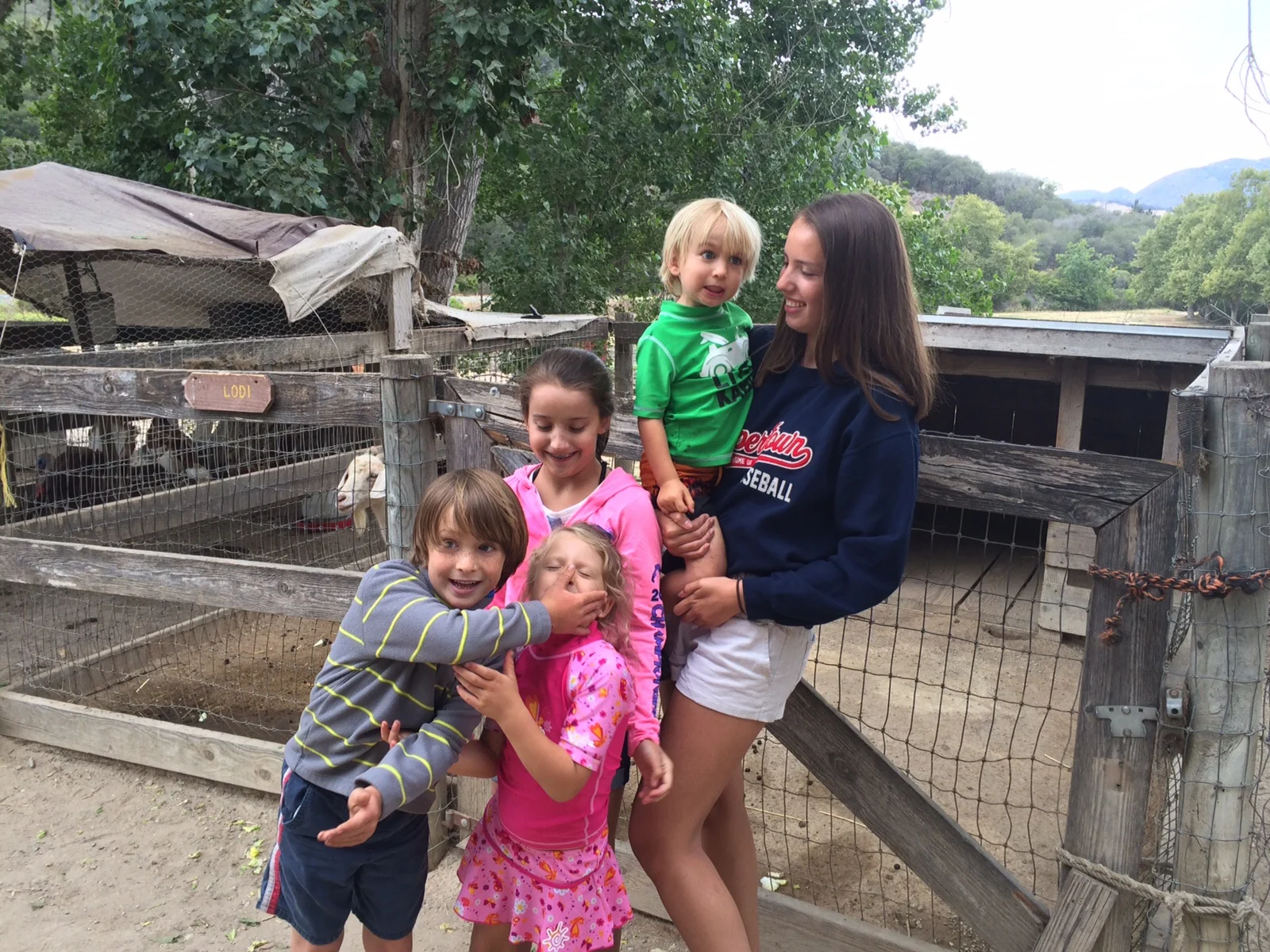 Crazy kiddos at the animal farm.