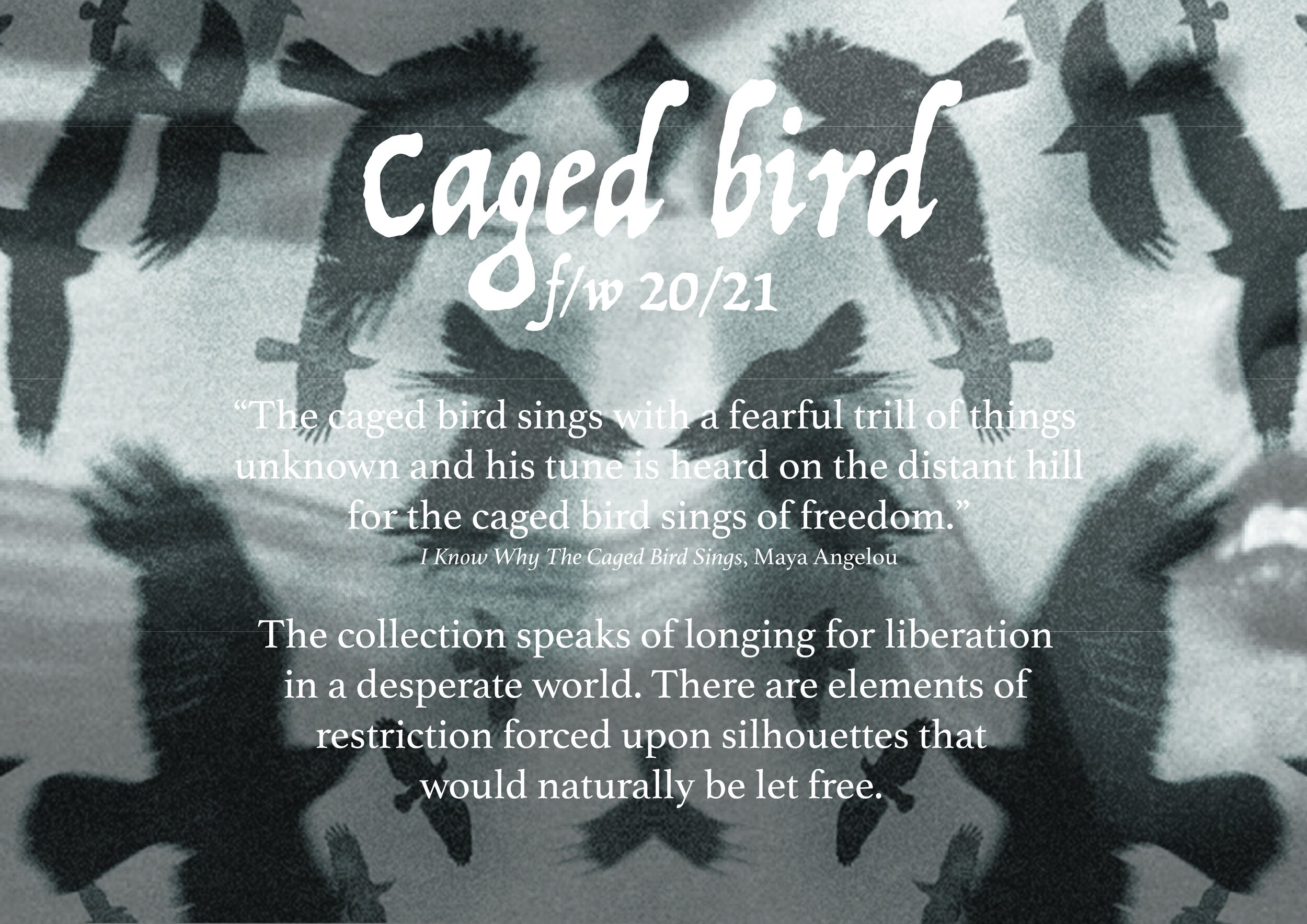 2. CagedBirdDescription-01.jpg