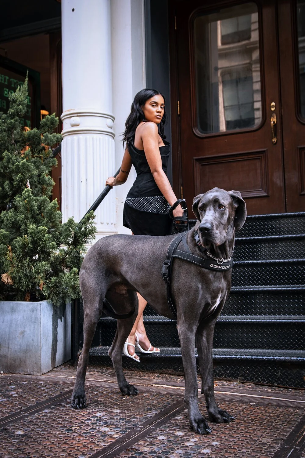 1stYearTG_Dog.jpg