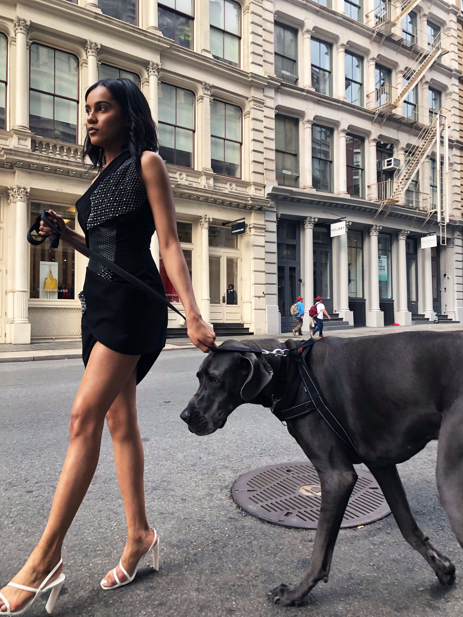 Liv_Dress_WalkingDog.jpg
