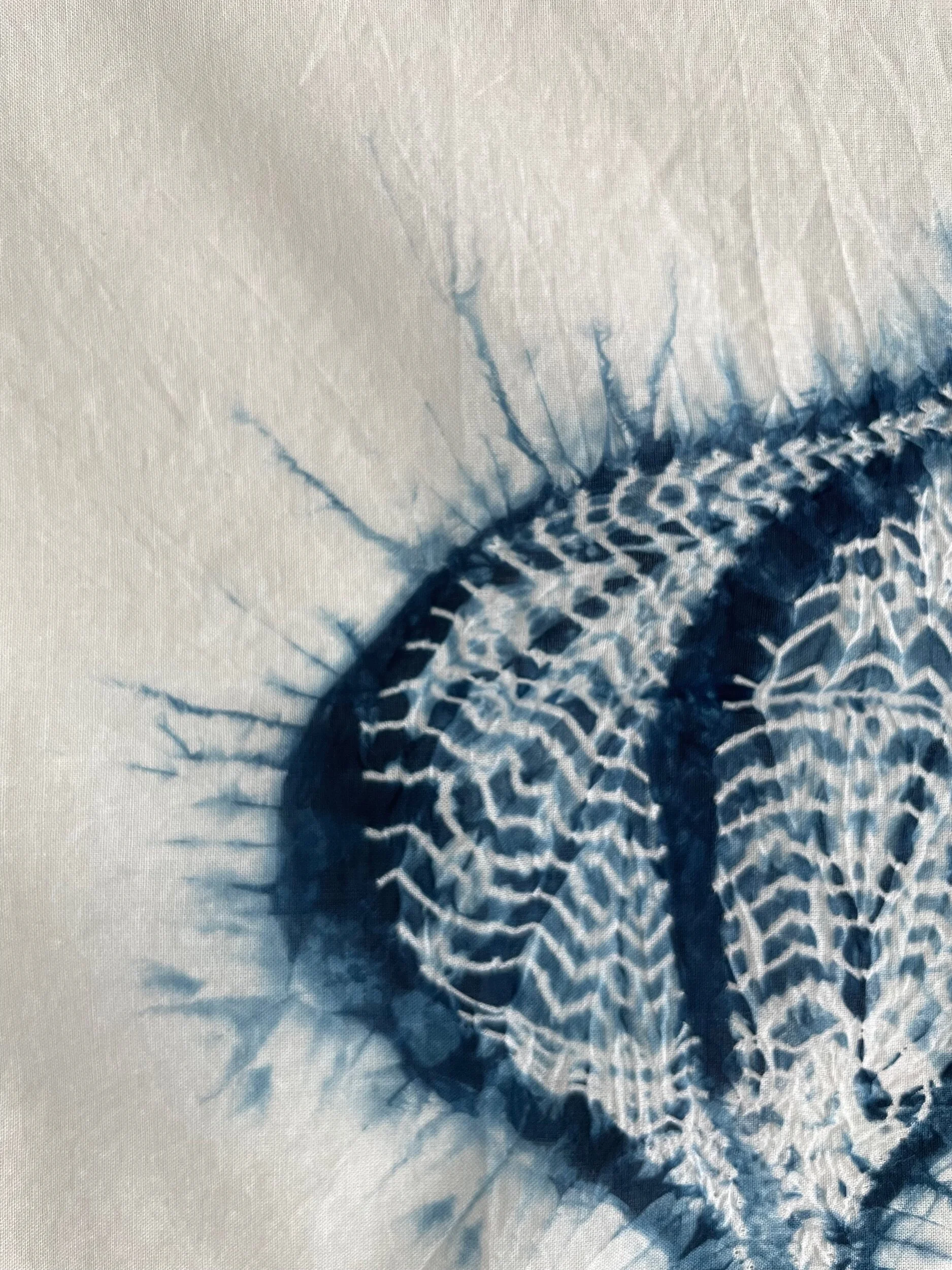 5B058966-3426-43FC-9269-35E0764BEAF1