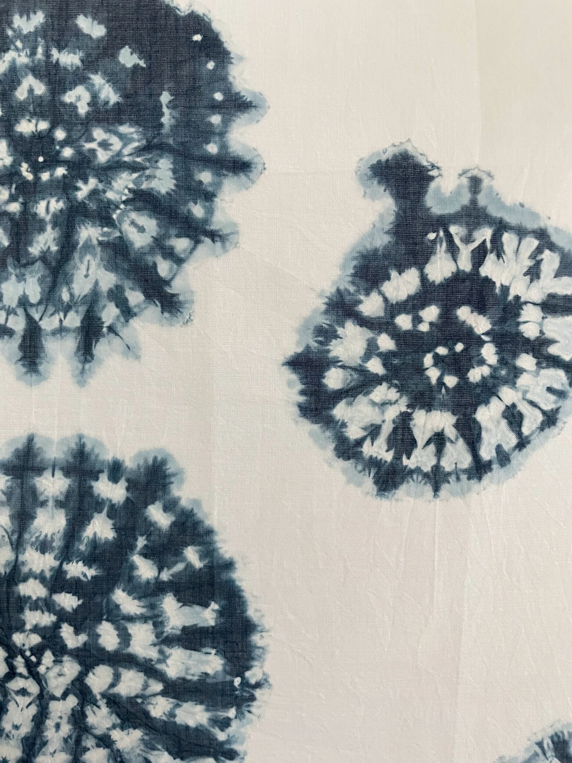 7BA1A395-4B93-421B-9824-FA265AFF7AF5