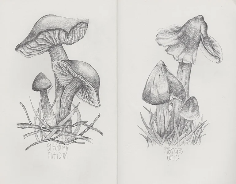 Juliaart 3 copy.jpg