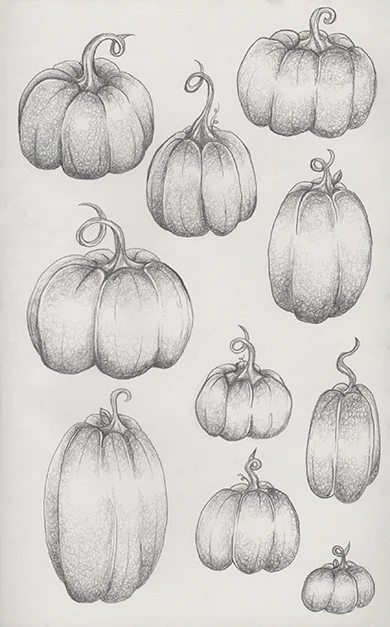 Juliaart 22 copy.jpg