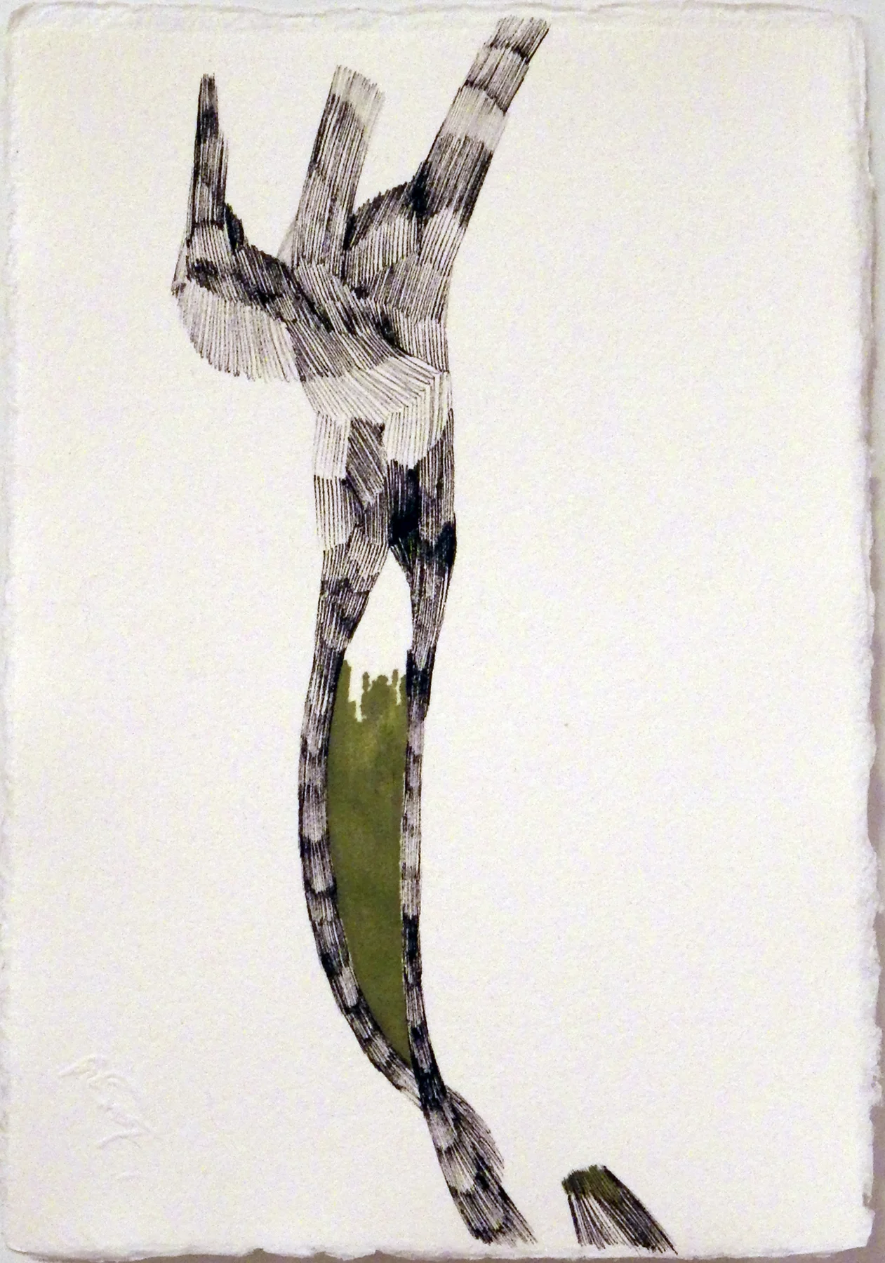 Stretch, pen and ink on Garza paper, 7 x 5", 2015