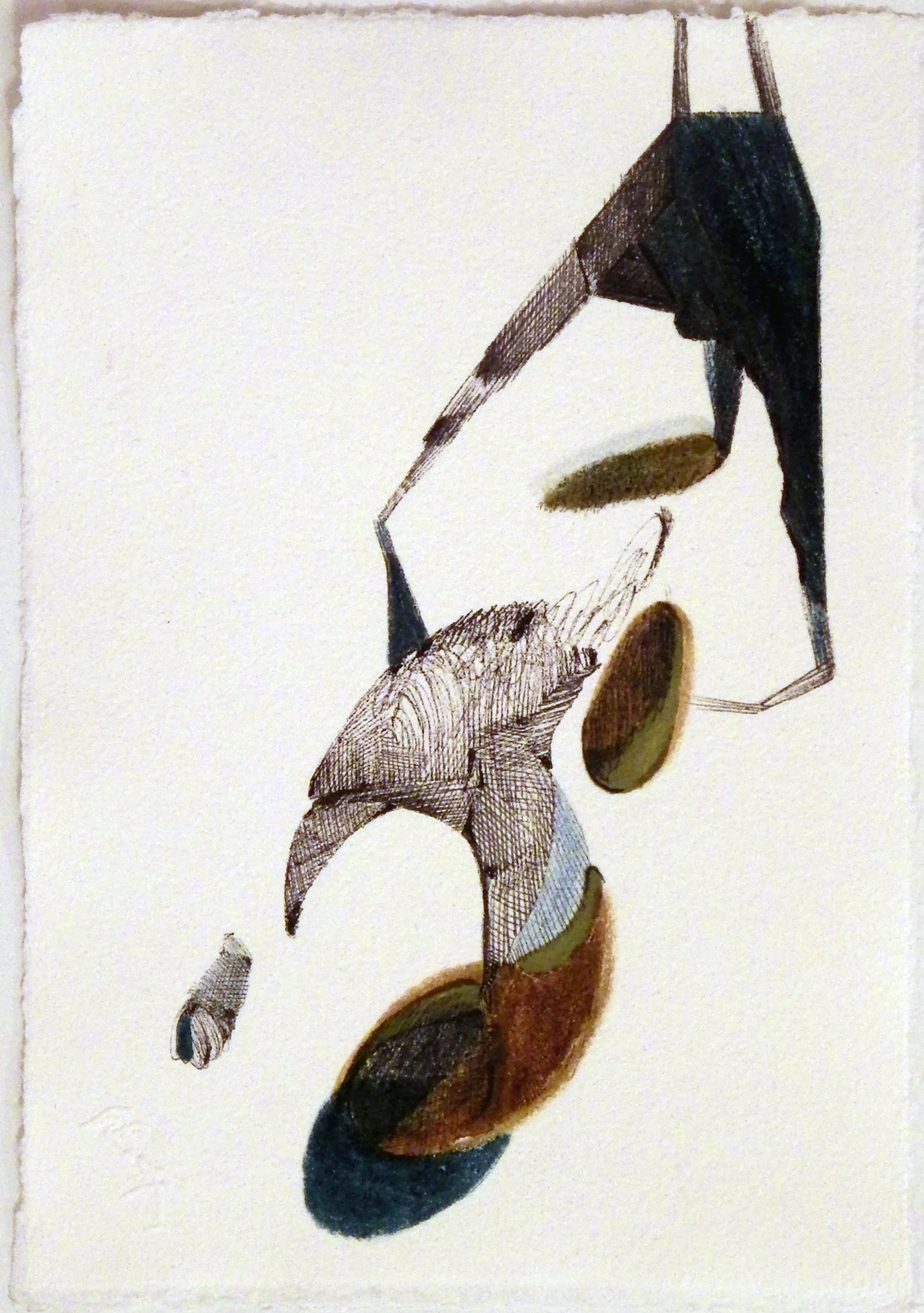 Flight, pen and ink on Garza paper, 7 x 5", 2015