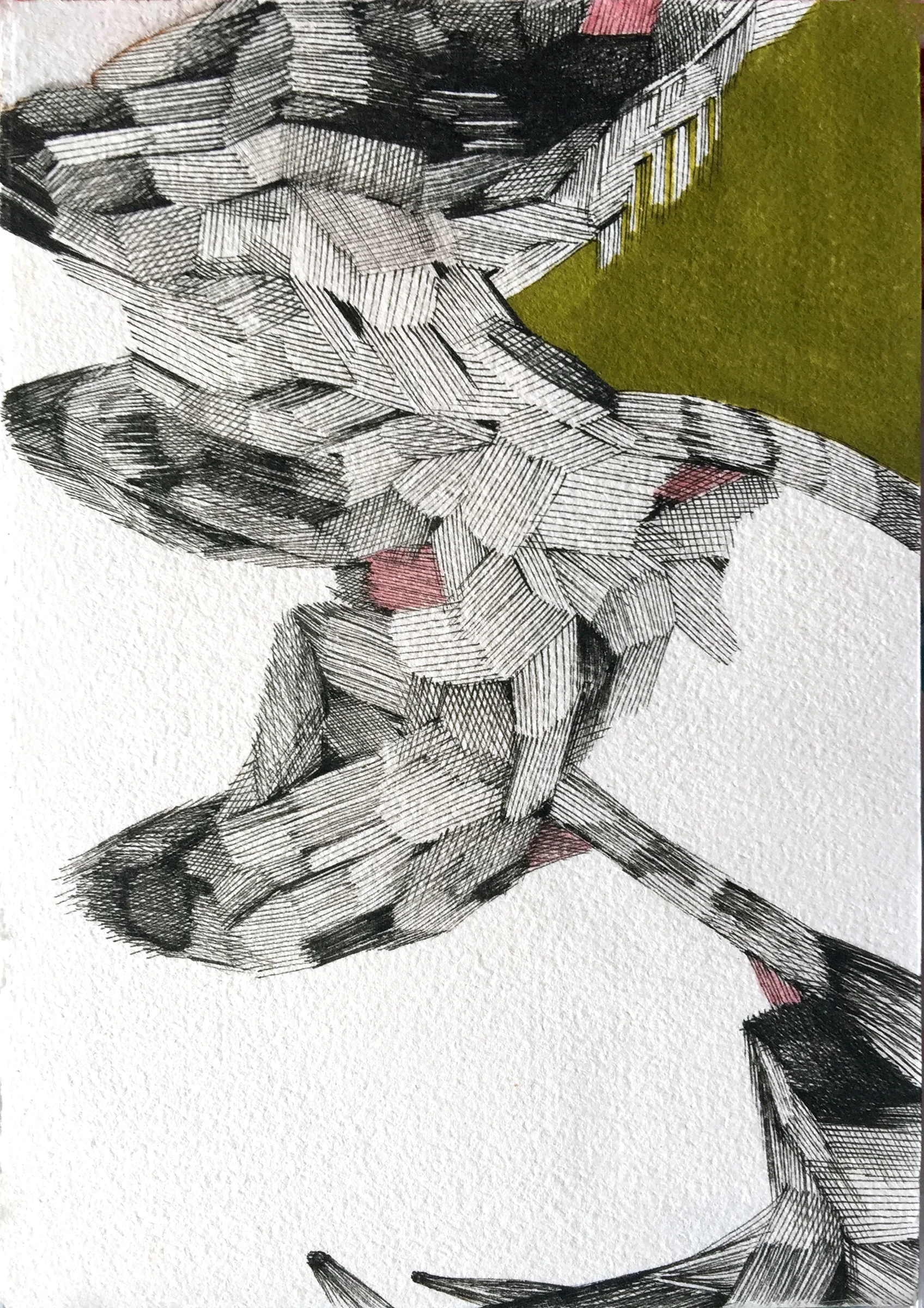Tethered, pen and ink on Garza paper, 7 x 5", 2015