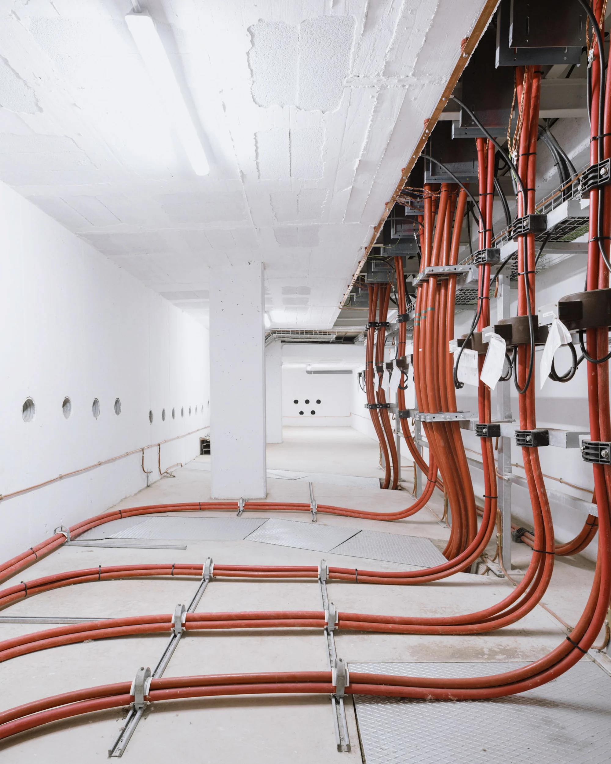 RED_011_TFG__RED_022_TFG_034_ ProjecteRipoll_Lersa3.JPG