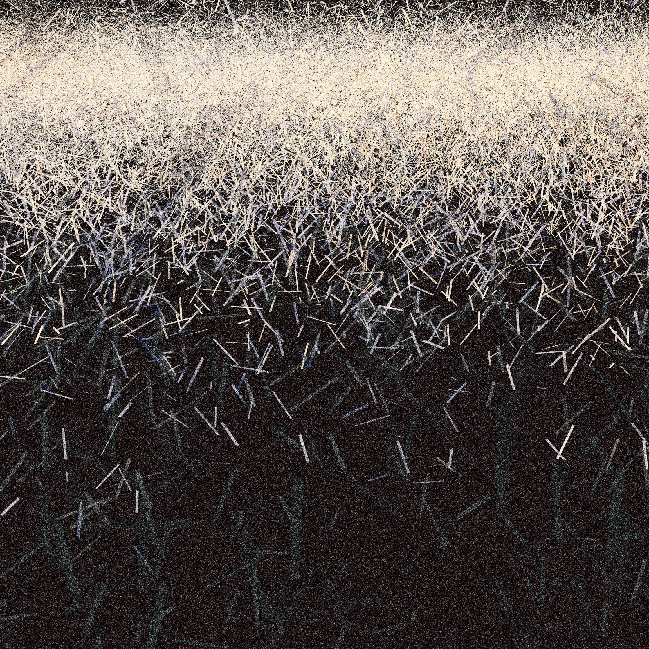 RED_013_TFG_Untitled 6.JPG