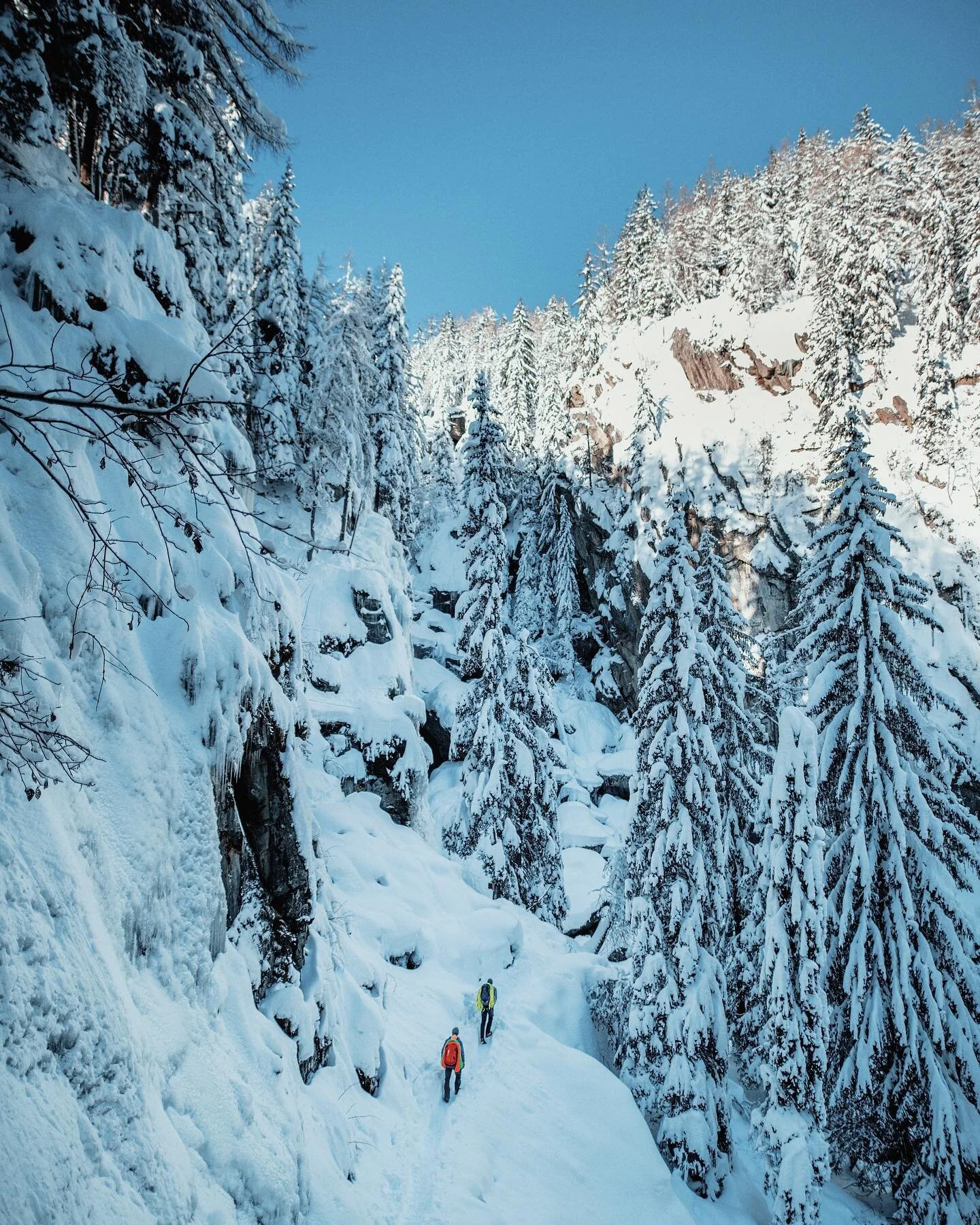 Take a walk on a frozen forest ❄️

Commissioned work made for @fixe.climb 
With @liqen.studio

#iceclimbing #behindthescenes #natureshoots #roam