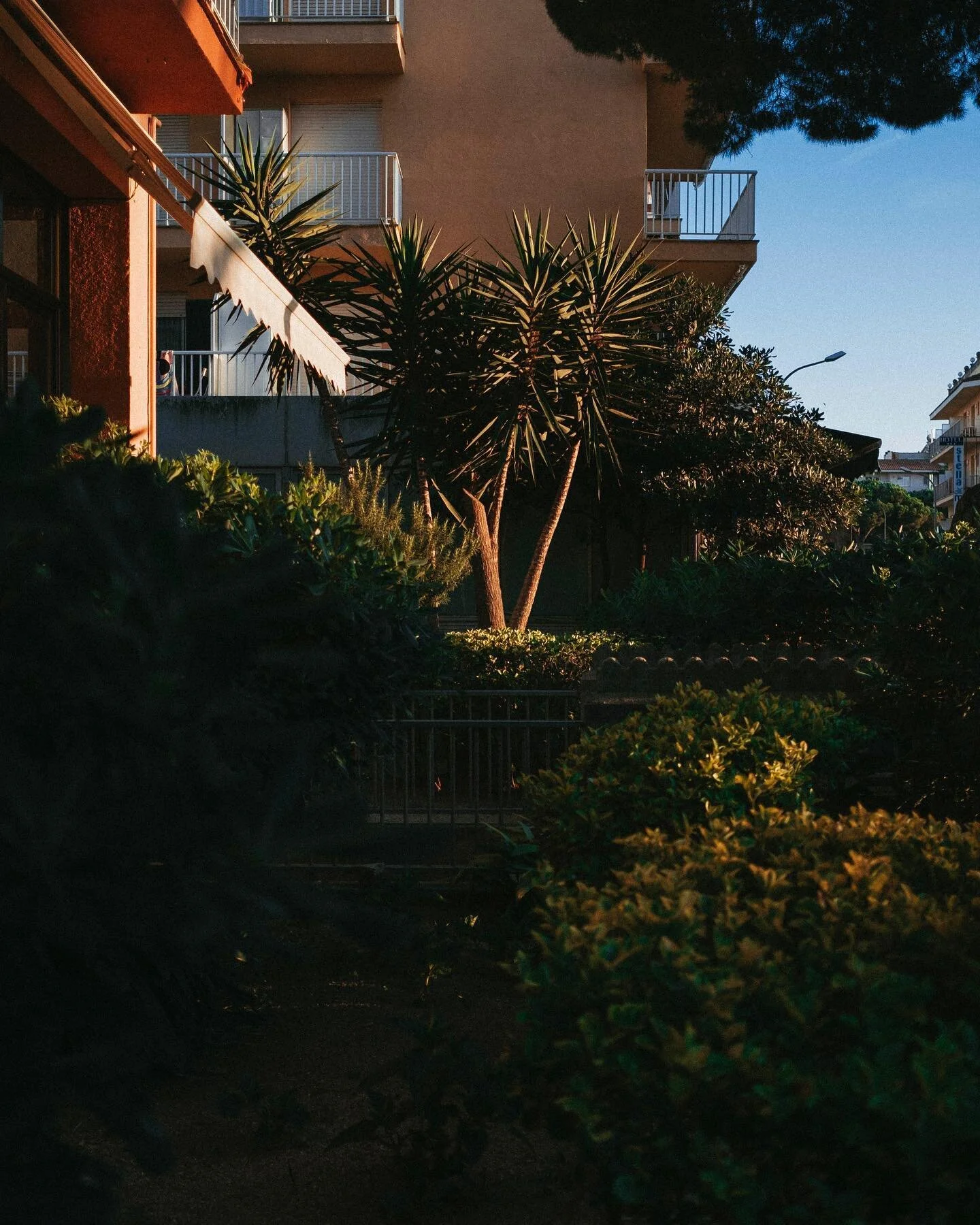 Consul Park, 2022

#dolcefarniente #fujixpro1 #newtopographics #urbanscene #broadmag #newtopographics #archaicmag #ofthrafternoon
#thisaintartschool #goldmoony #pellicolamag #ntfbgroup
#phroom #newtopography #paperjournalmag
#observationmag #super_or