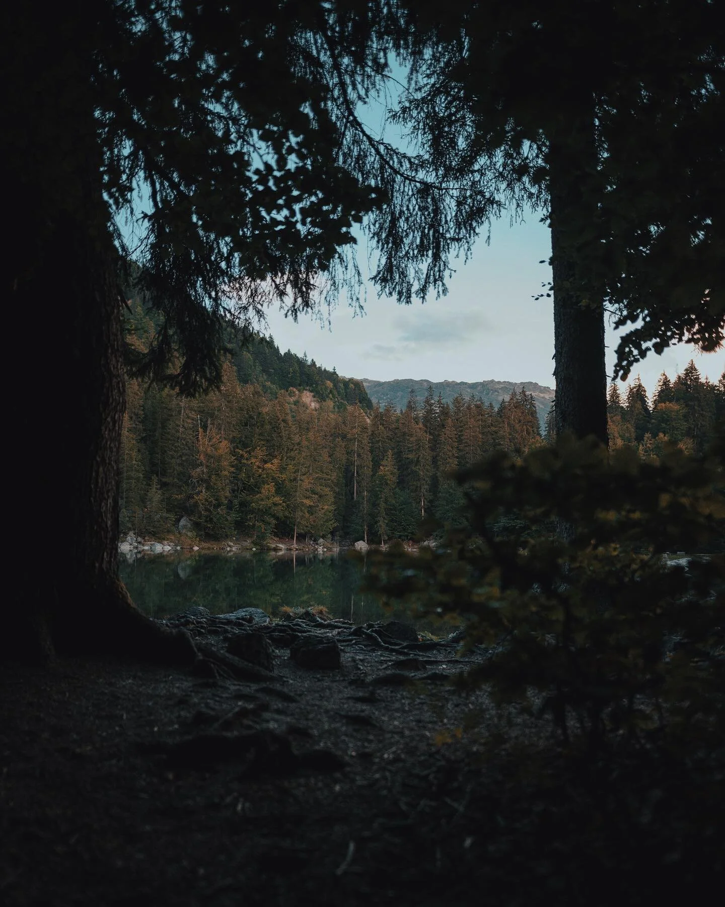 Lac Vert, alps trip 2022