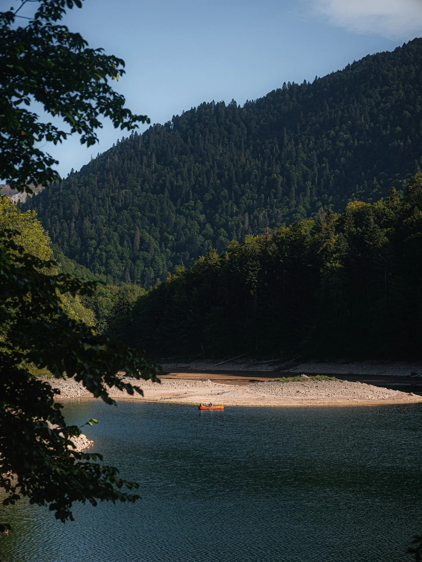 De pas per Biogradska

#cinematic #ifyouleavestagram #montenegro #nikonzf #nikon40mm #ttartisan75