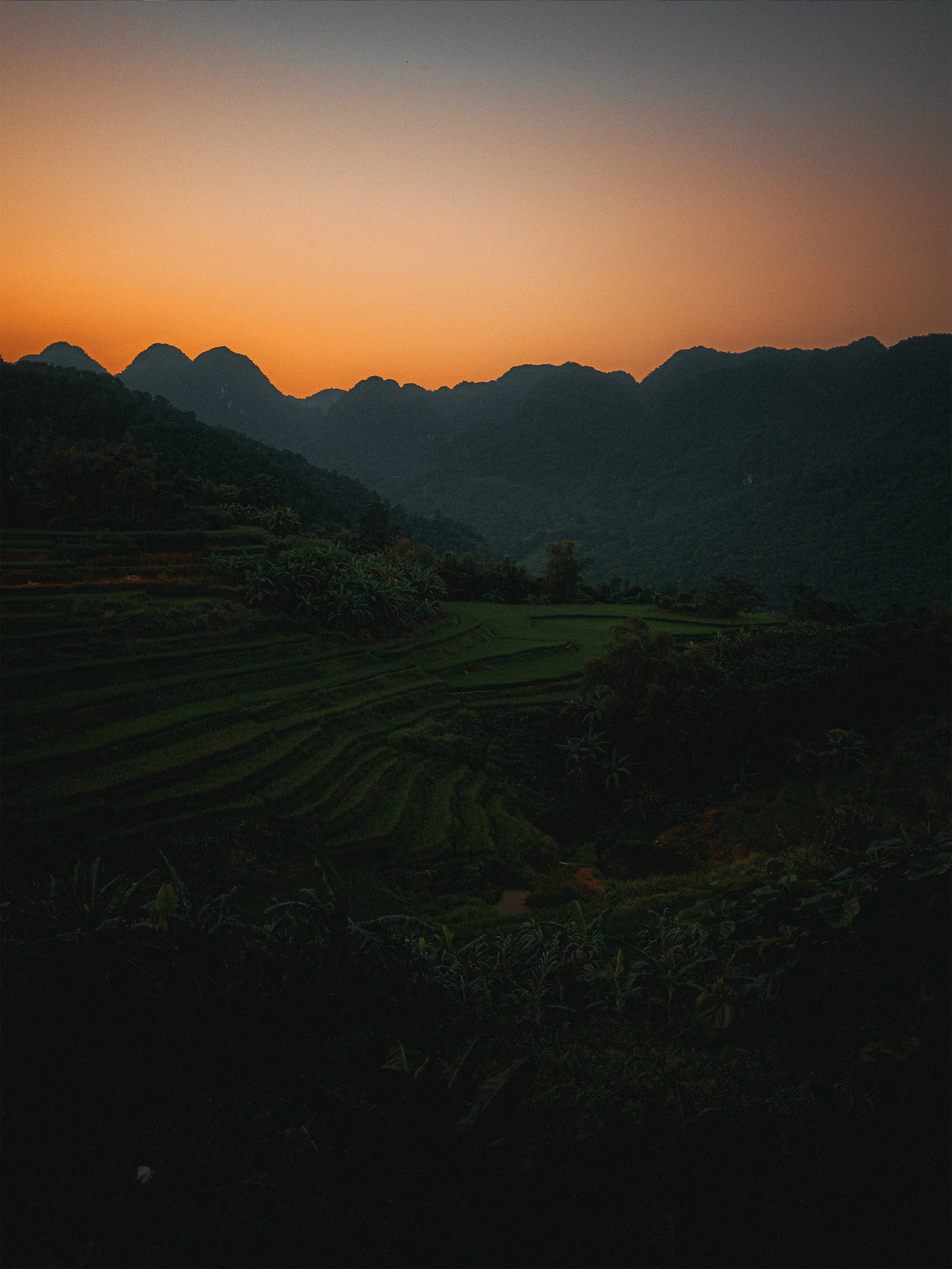 La vida tranquil&bull;la als arrossars de P&ugrave; Lu&ocirc;ng 🌾

Aquests dies aqu&iacute;, lluny de tot els recordarem per sempre.

#myvietnam #traveller #cntraveller #nikonzf #nikon40mm