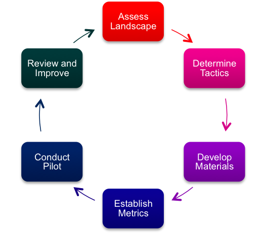 Innovation Pilots Development Cycle