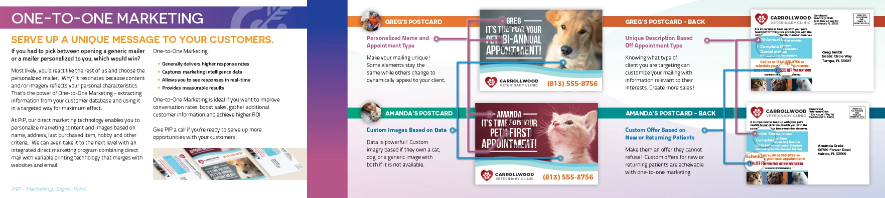 PIP Capabilities Book R3 For Print-2.jpg