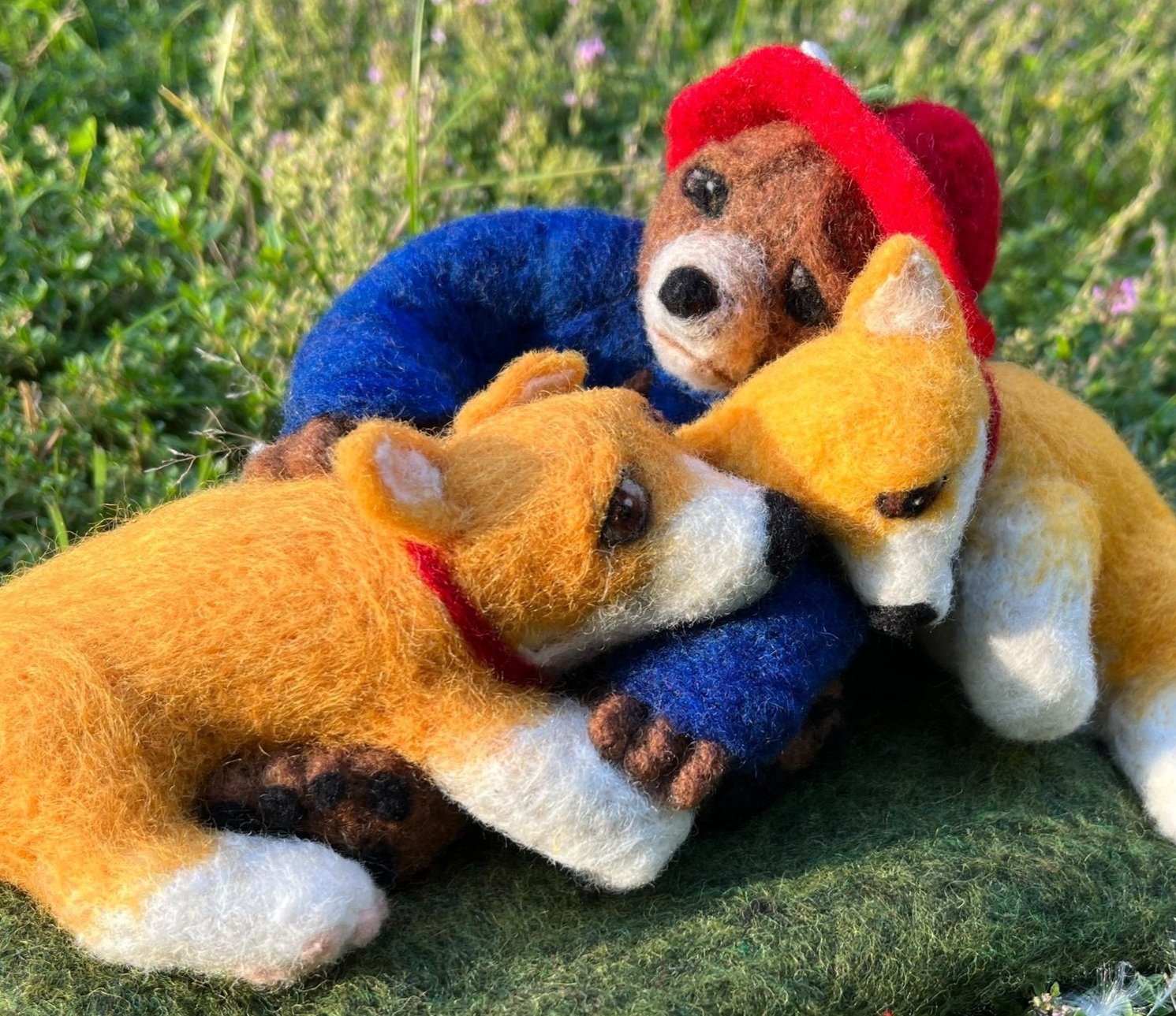 Paddington and the Corgis
