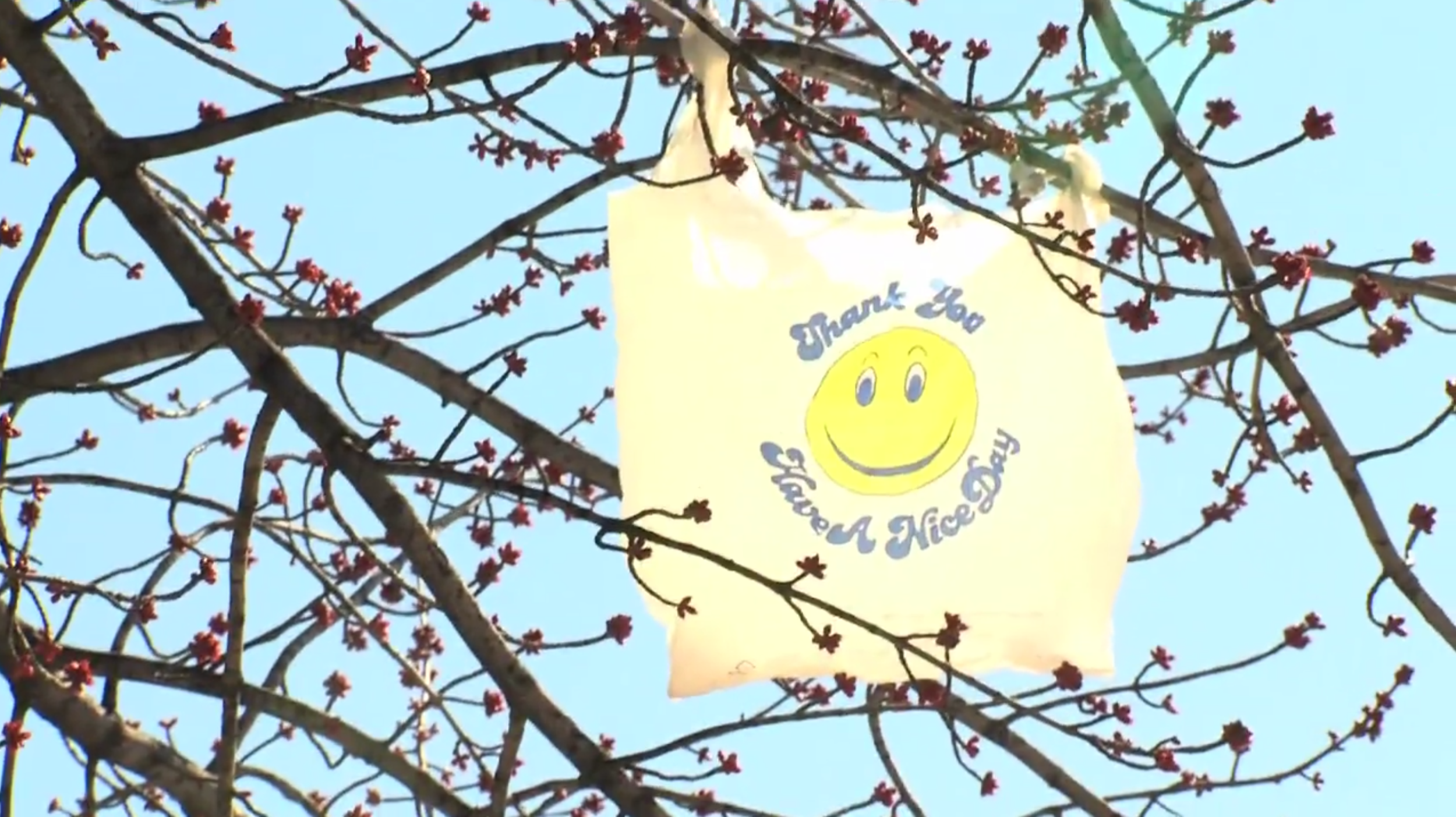   BAG MAN   Director / Editor - Brian Agamie  Camera - Paul Slupski  Baltimore, MD / 2011 