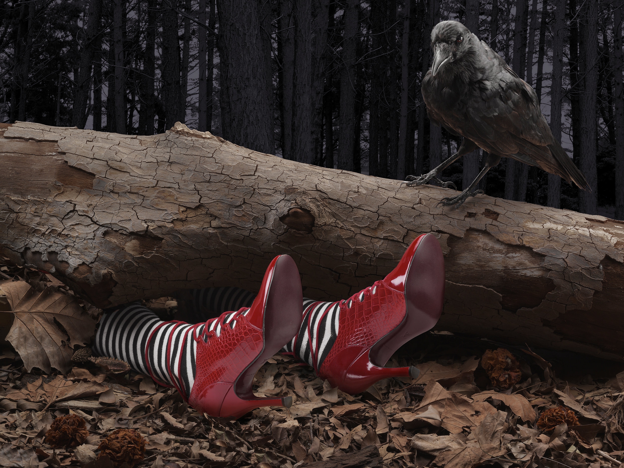 Russh Magazine Fashion editorial-wicked witch of the east
