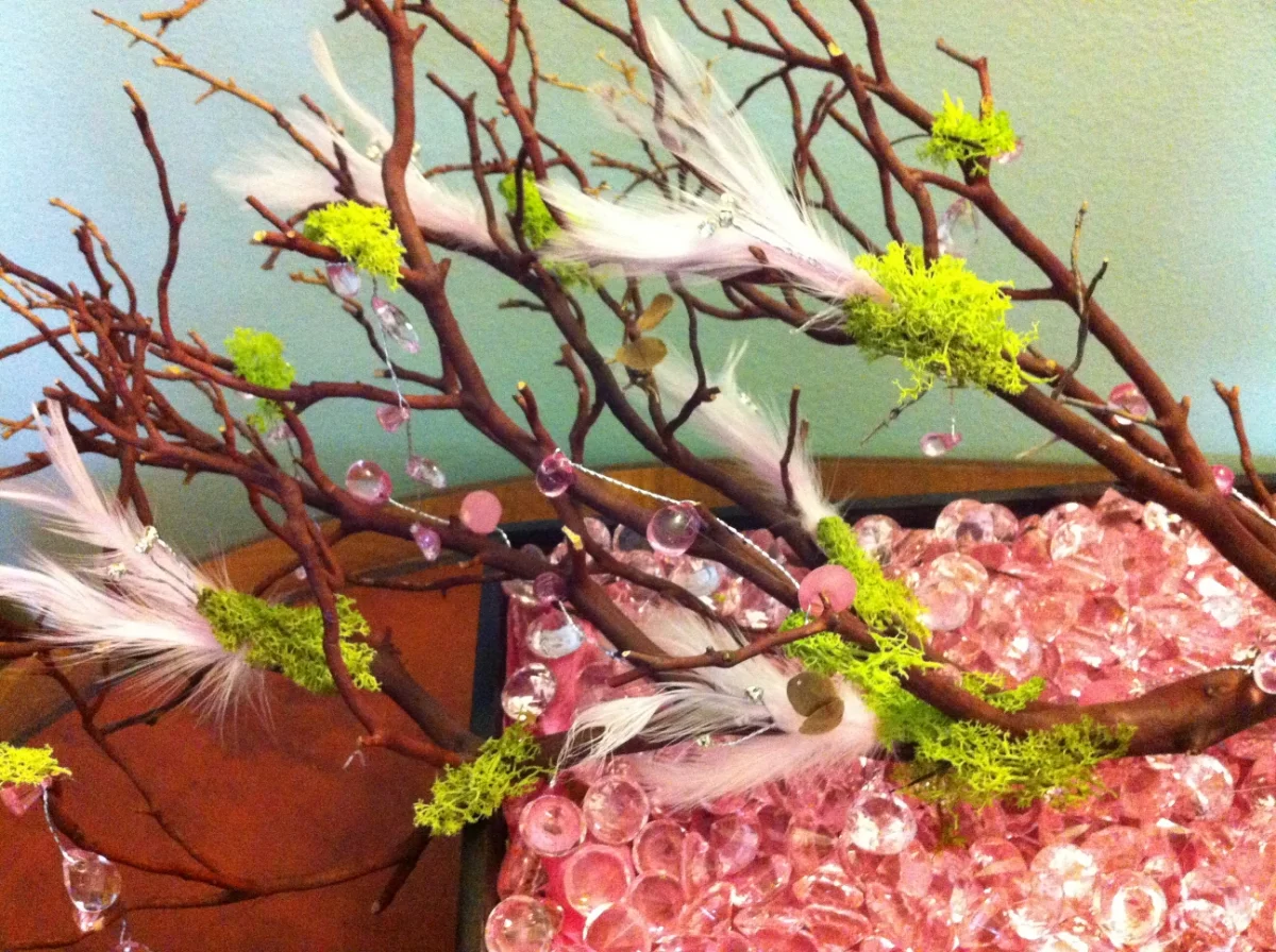 manzanita IMG_2002.JPG