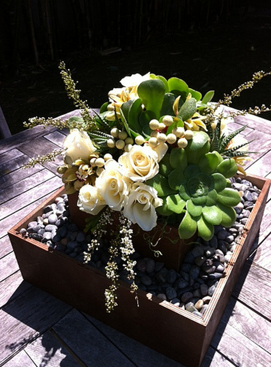 Roses and Succulents_10660675023_o.png