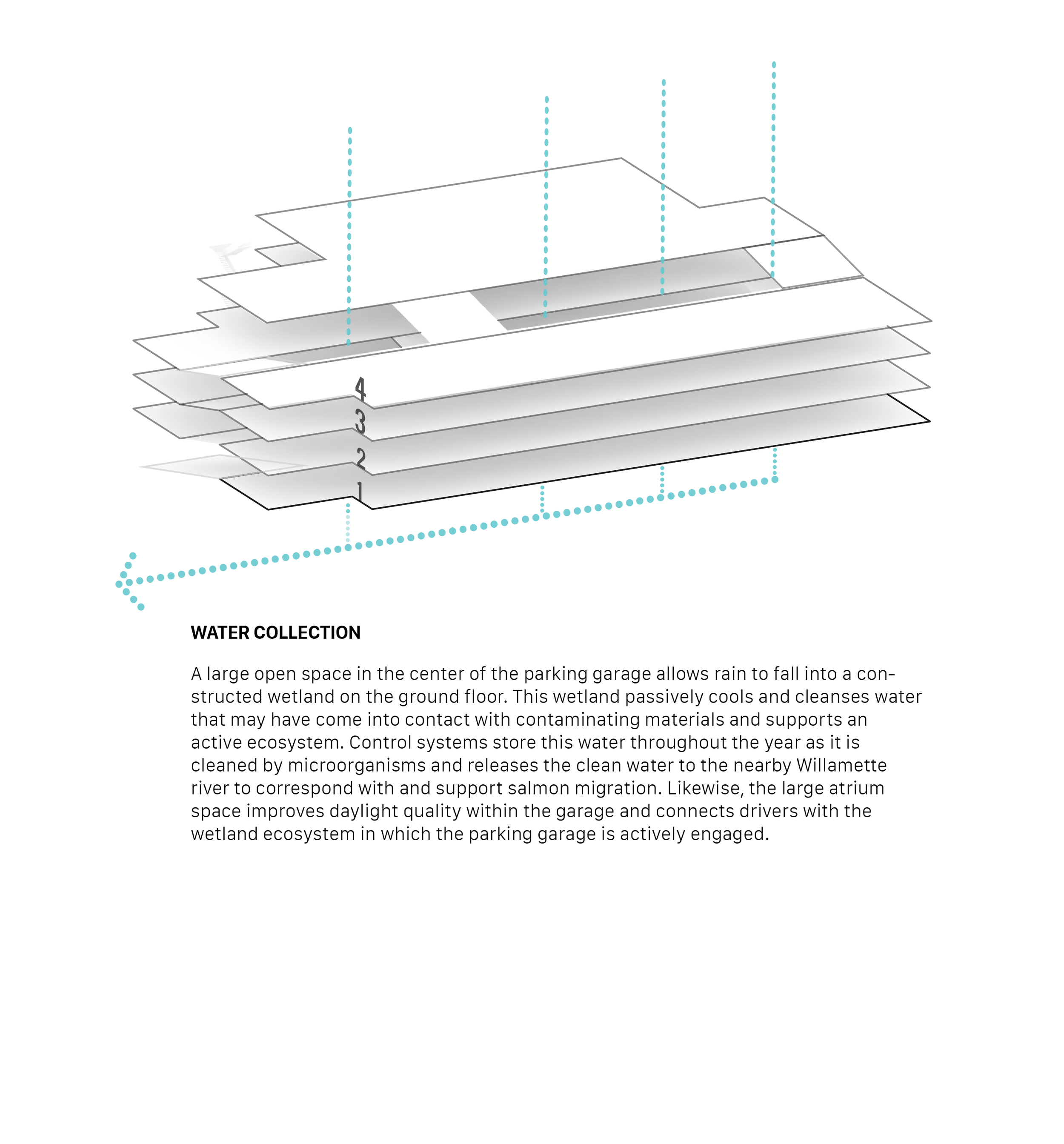 Circulation Diagrams-06.png