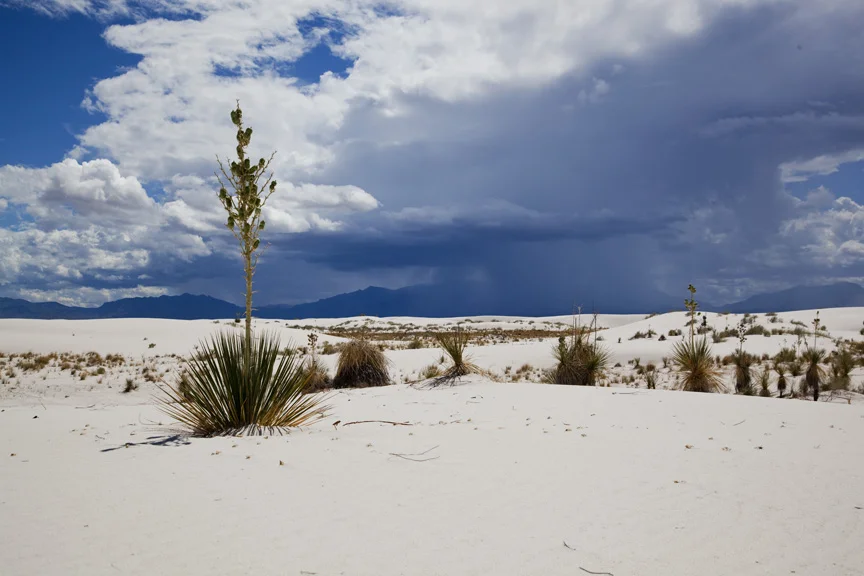 White Sands, New Mexico. 