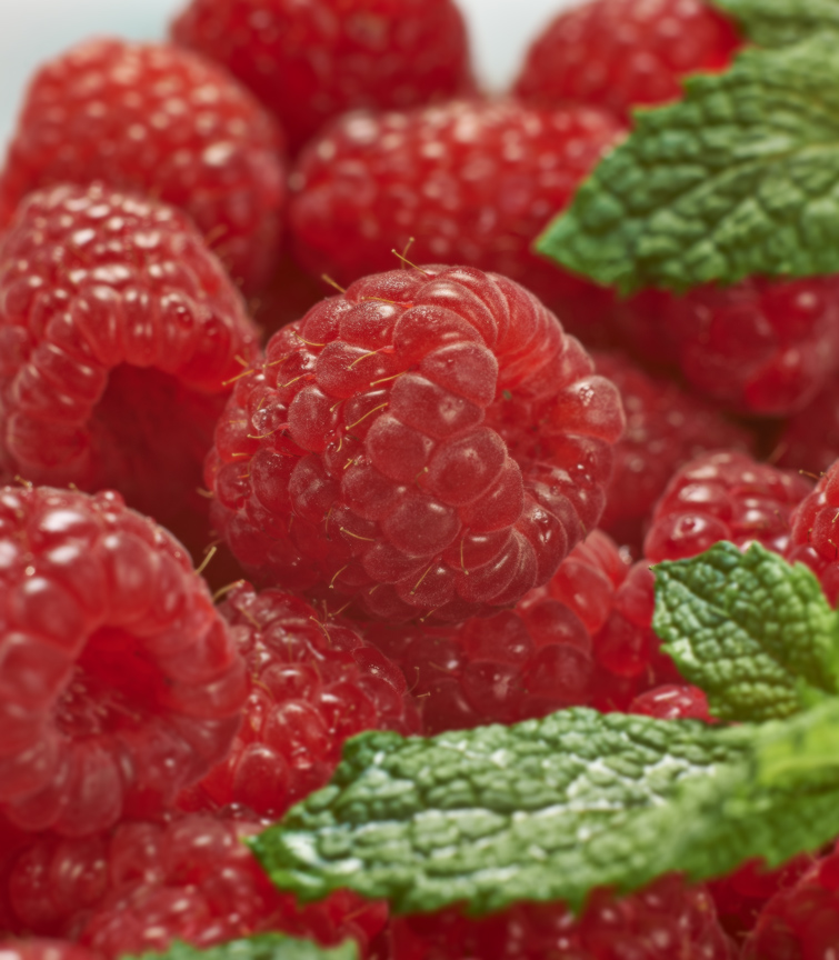 Fresh raspberries and mint. 
