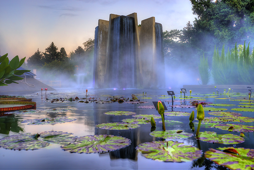 Steam rises off water garden at Denver Botanical Gardens. 