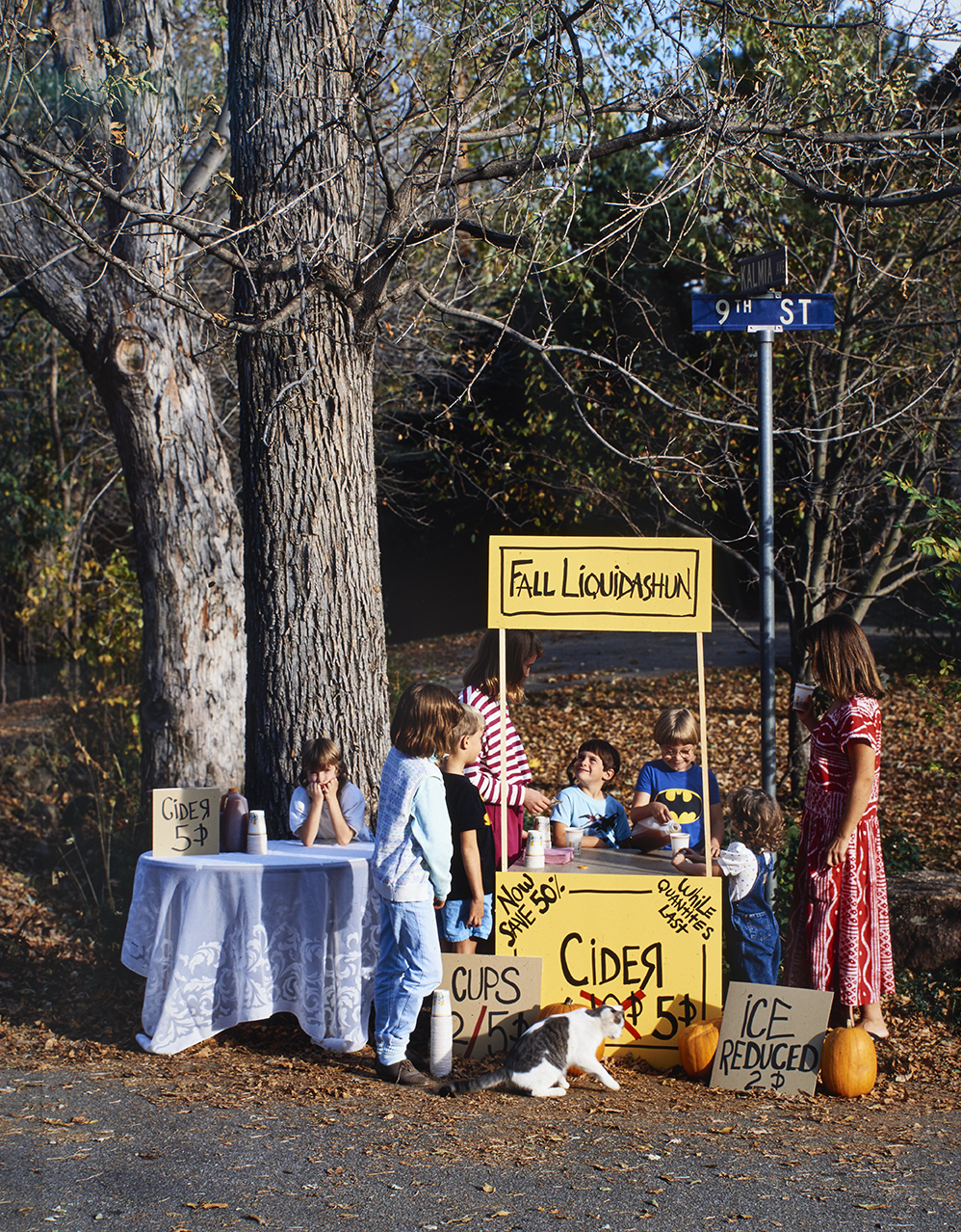 Kids at a lemonade stand. 