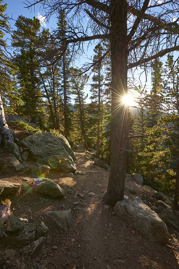 Colorado Rocky Mountain hiking trail. 