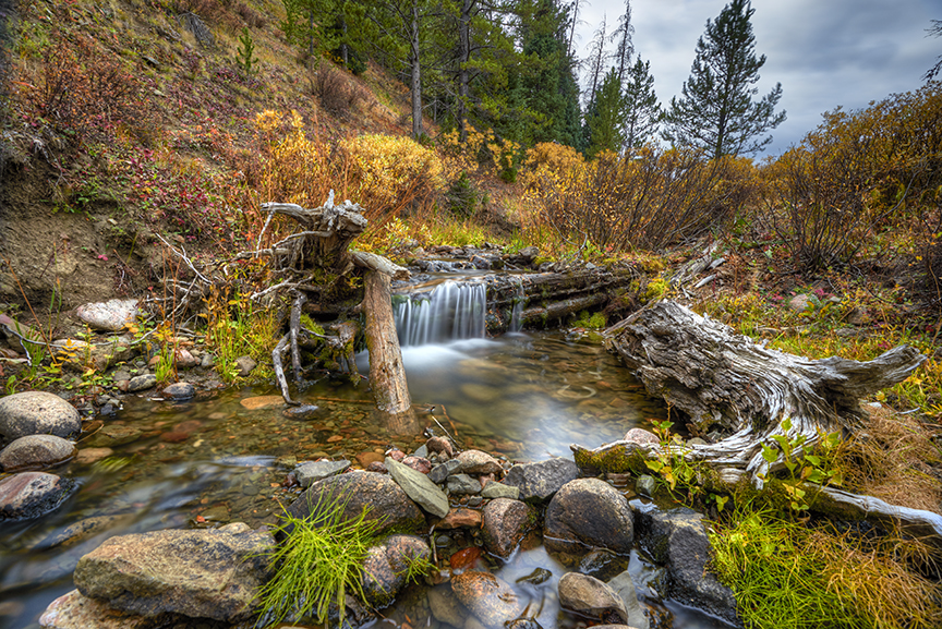 Colorado Rocky Mountain creek. 