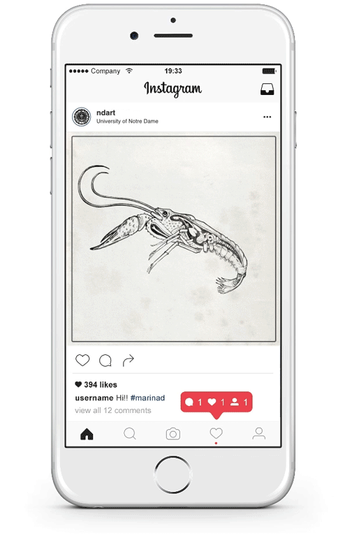 Instagram-mockup2.gif