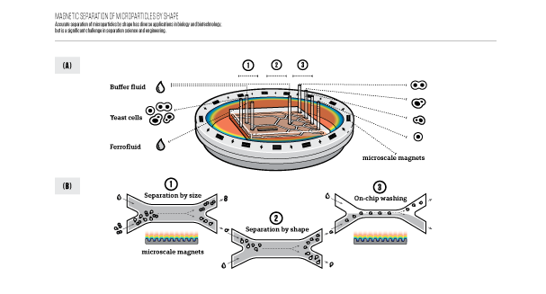 Artboard 21 copy.png
