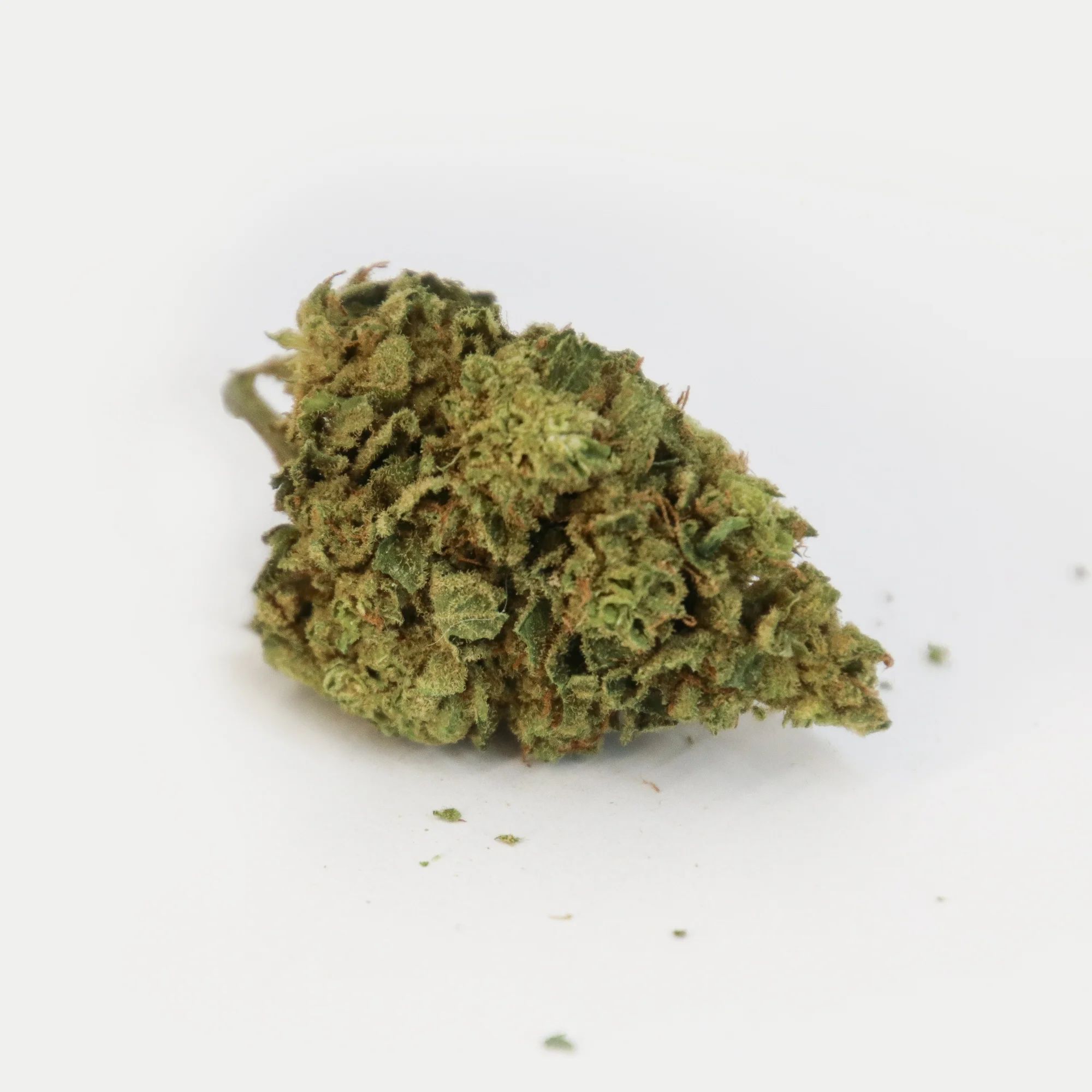 ATOMIC NORTHEN LIGHTS 20 NOV 2018 B copy.jpg