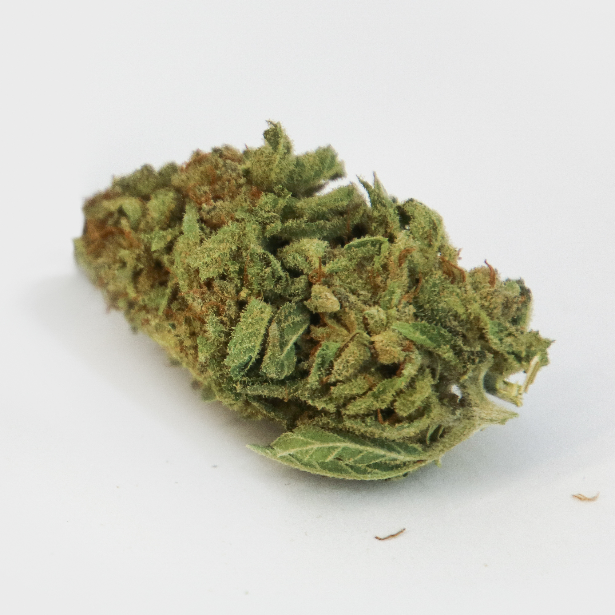 DEATH STAR 24 DEC 2018 C.jpg