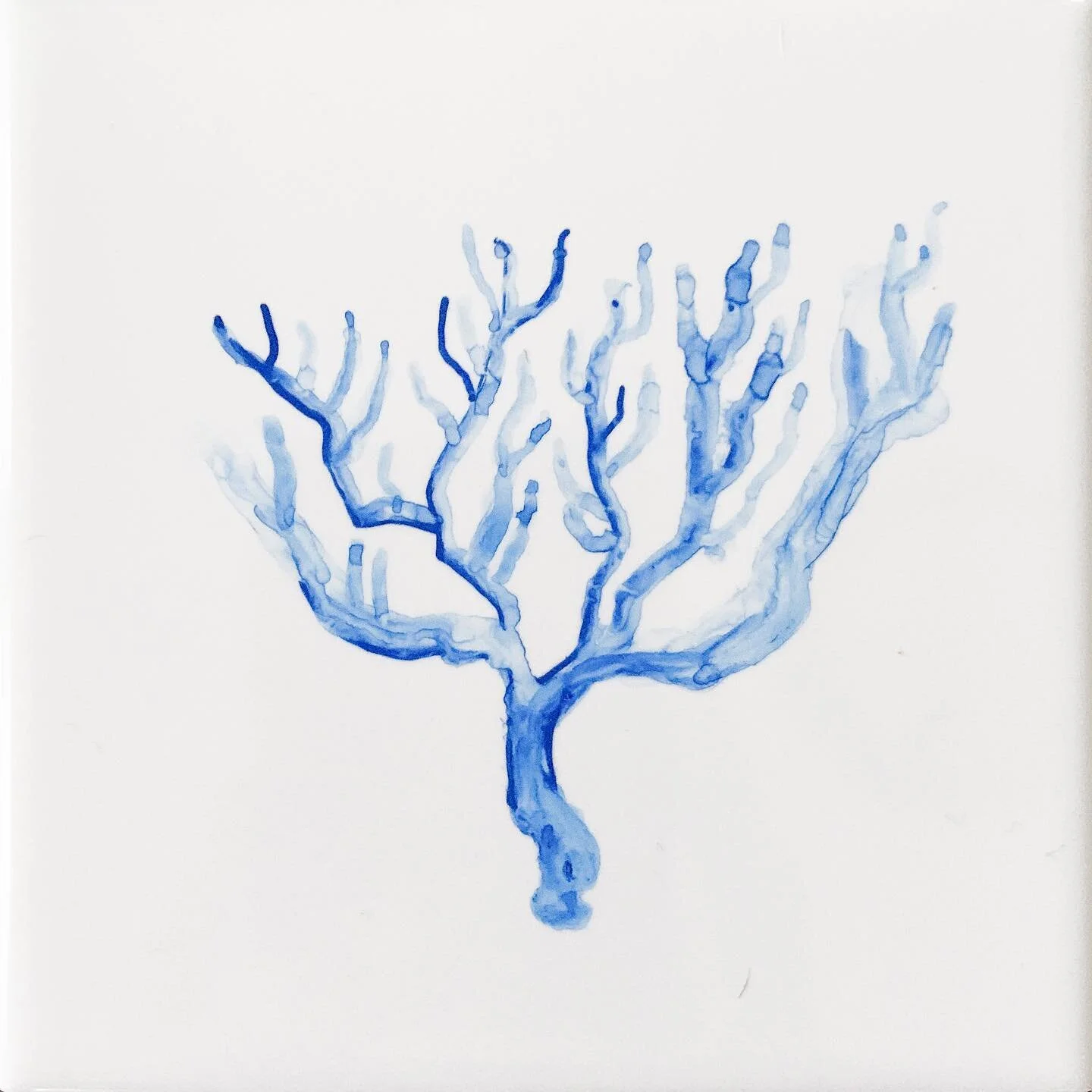 delft coral for 80/100 of #100iubfa (yes, still catching up)

#illustrationartists #delftblue #delftware #designer #graphicdesign #oneaday