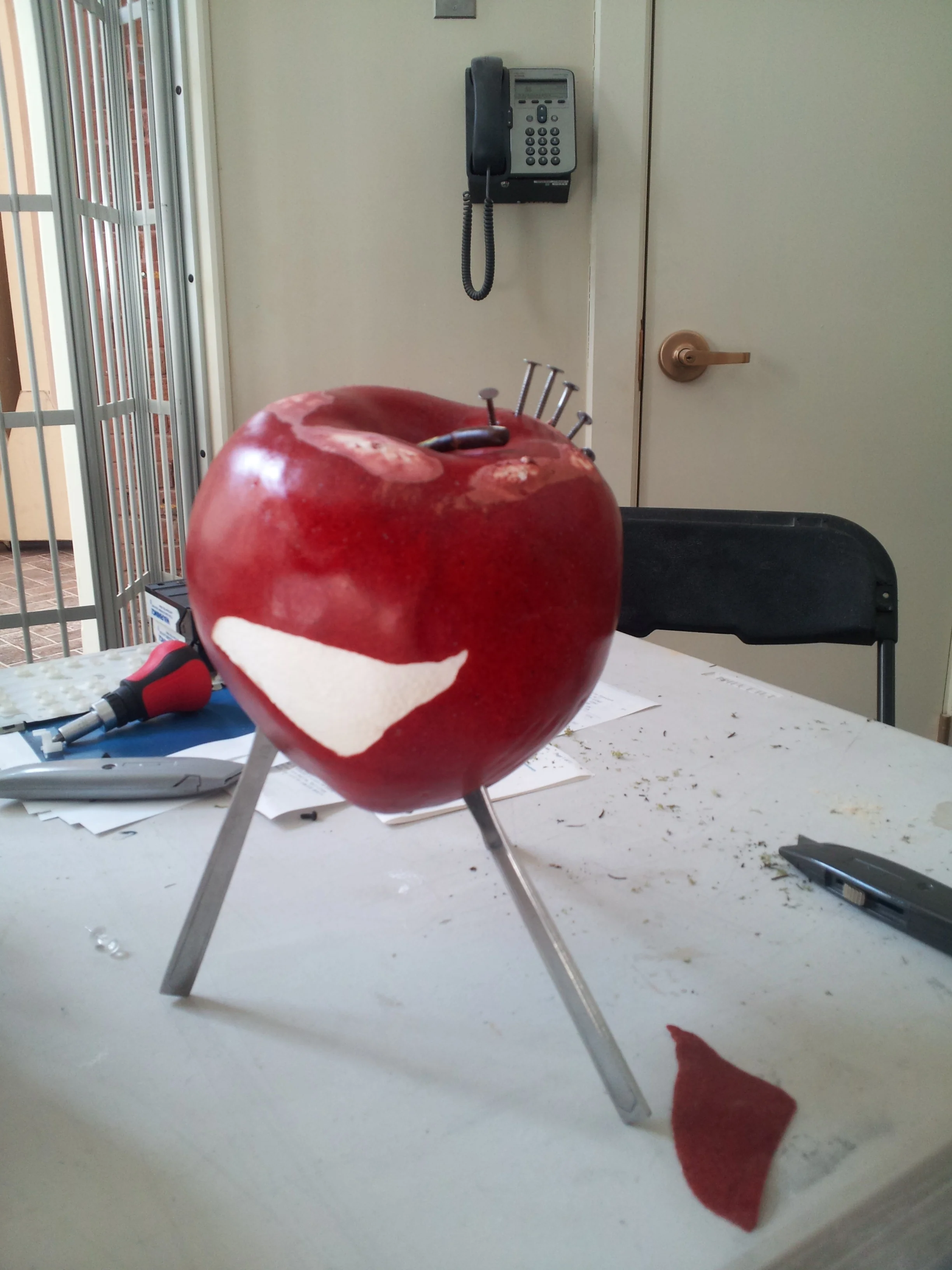 2012-03-05 13.44.36.jpg