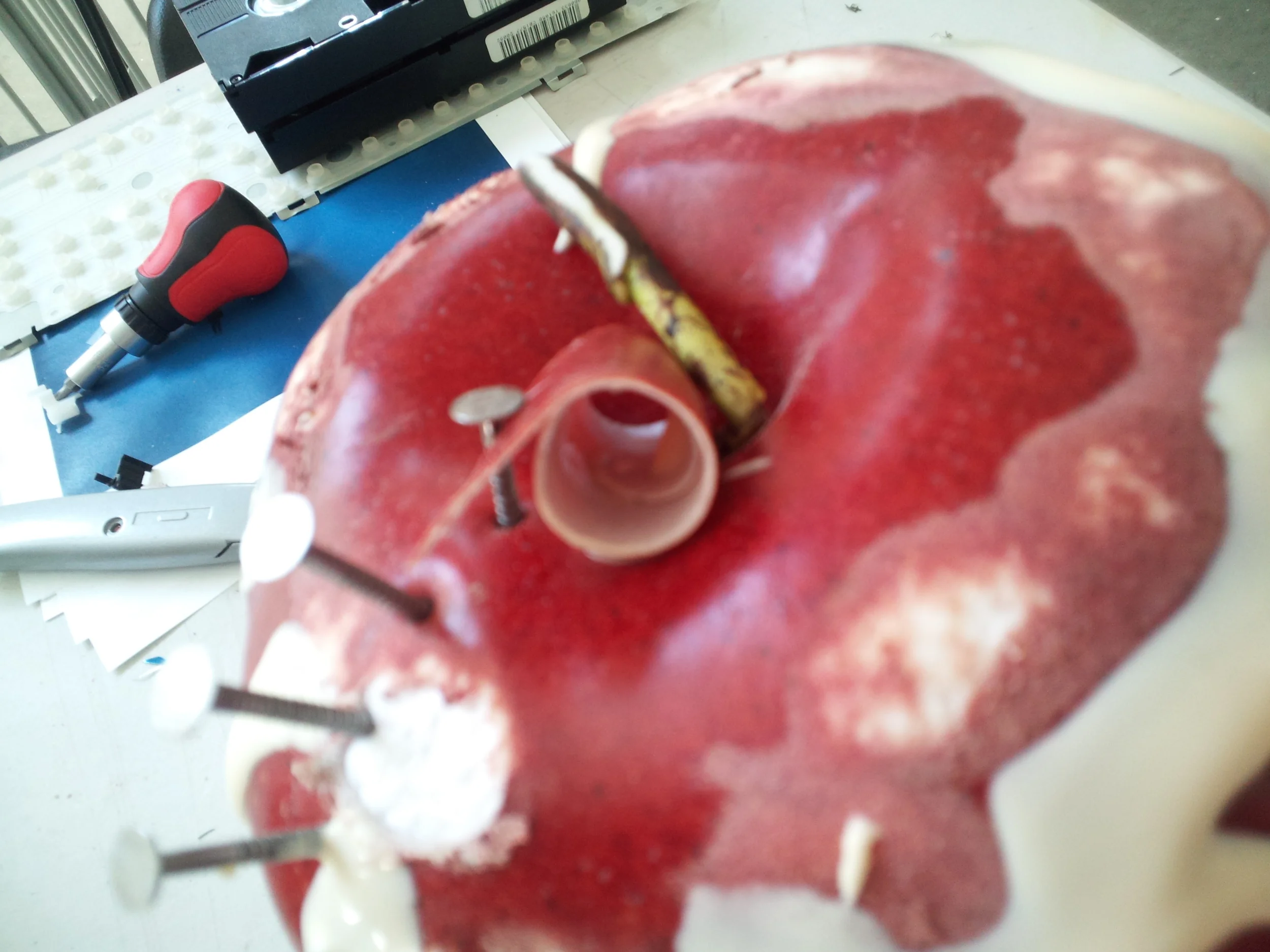 2012-03-05 13.52.53.jpg