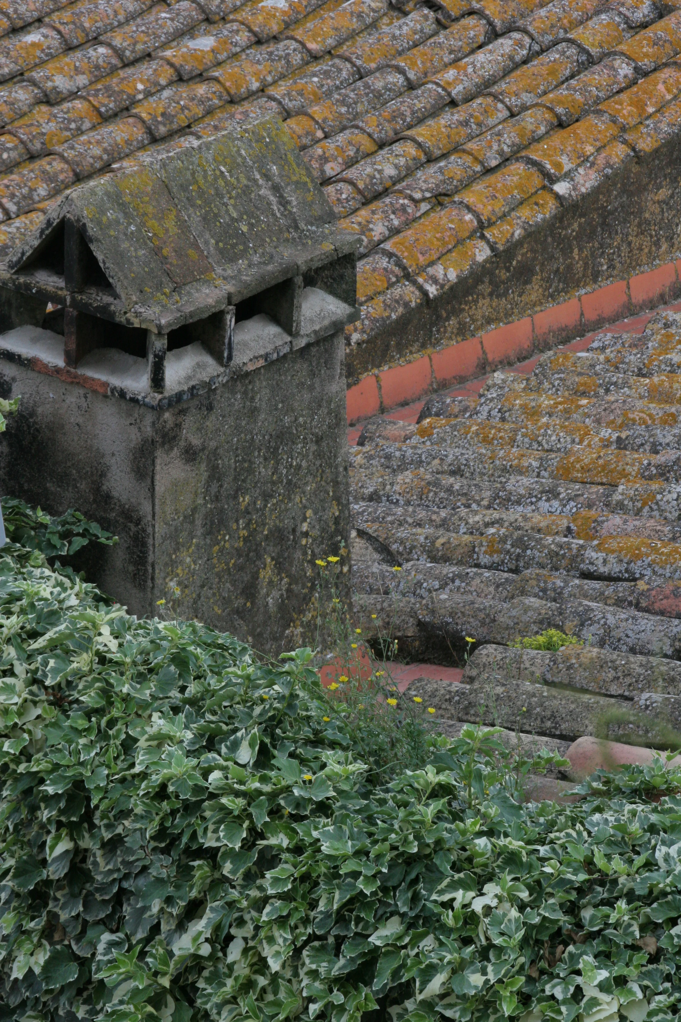 Chimney, Moss Roofs, Catalonia