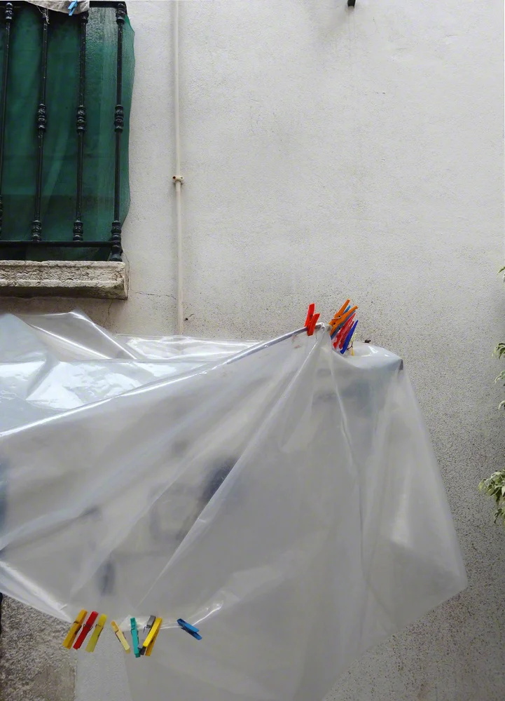 Clothespins, Lisbon