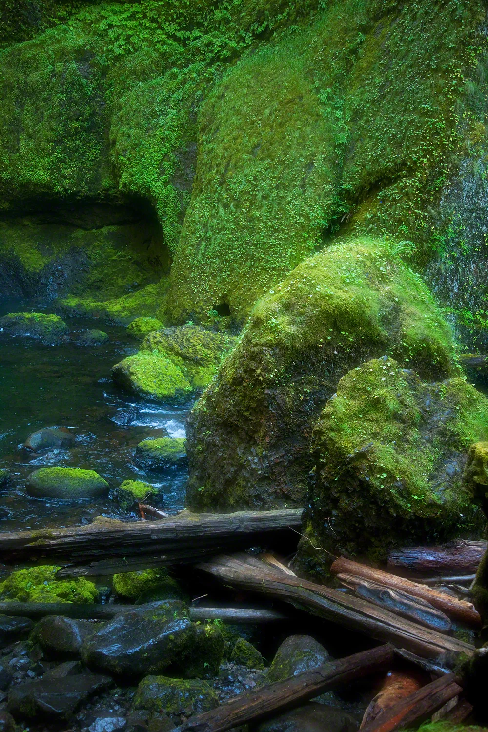 Still Waters, Wahclellah