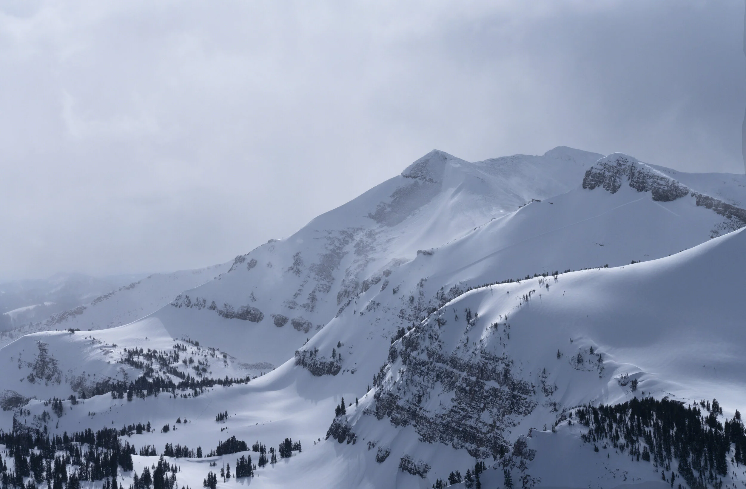 Айс сем. Долина Джексон Хоул. Bloom Valley Snow Storm цветы. Sam Gor.